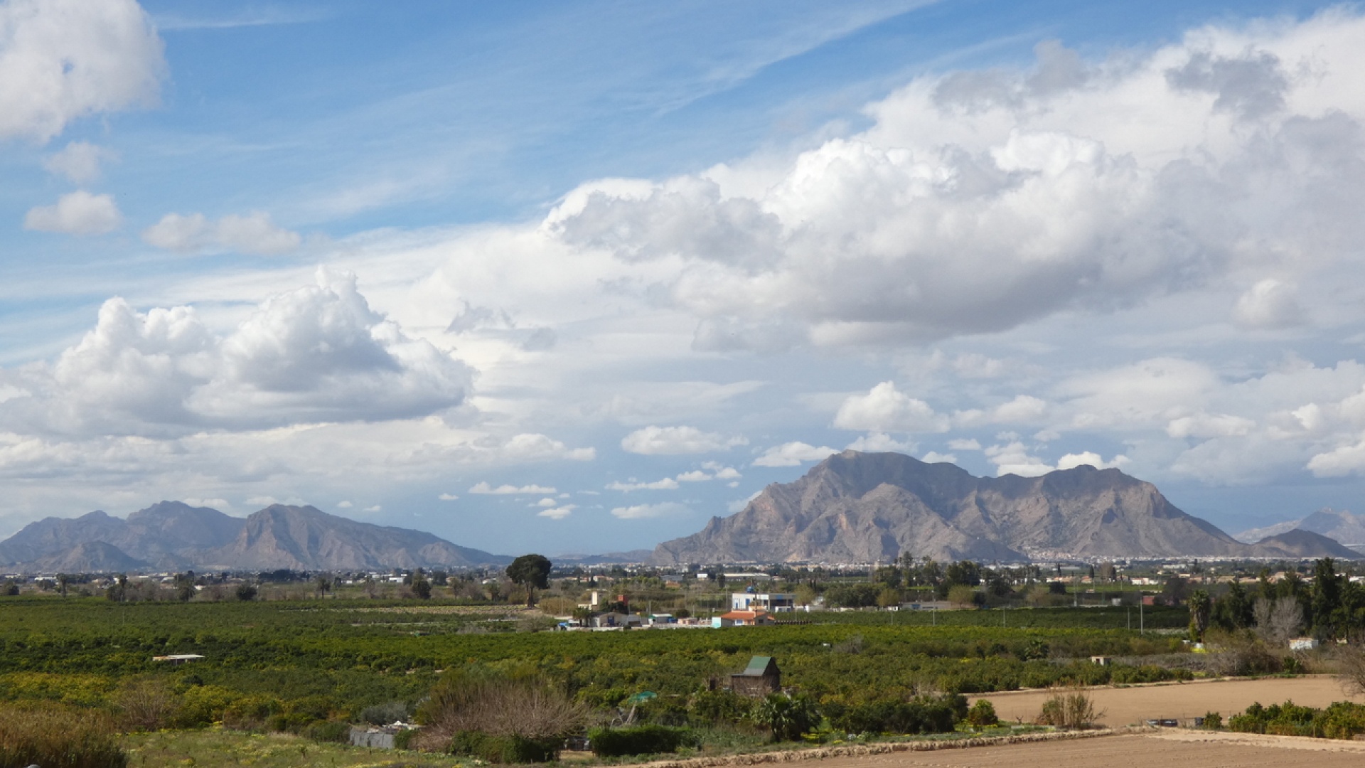 Resale - Apartment - Algorfa - res cecilia