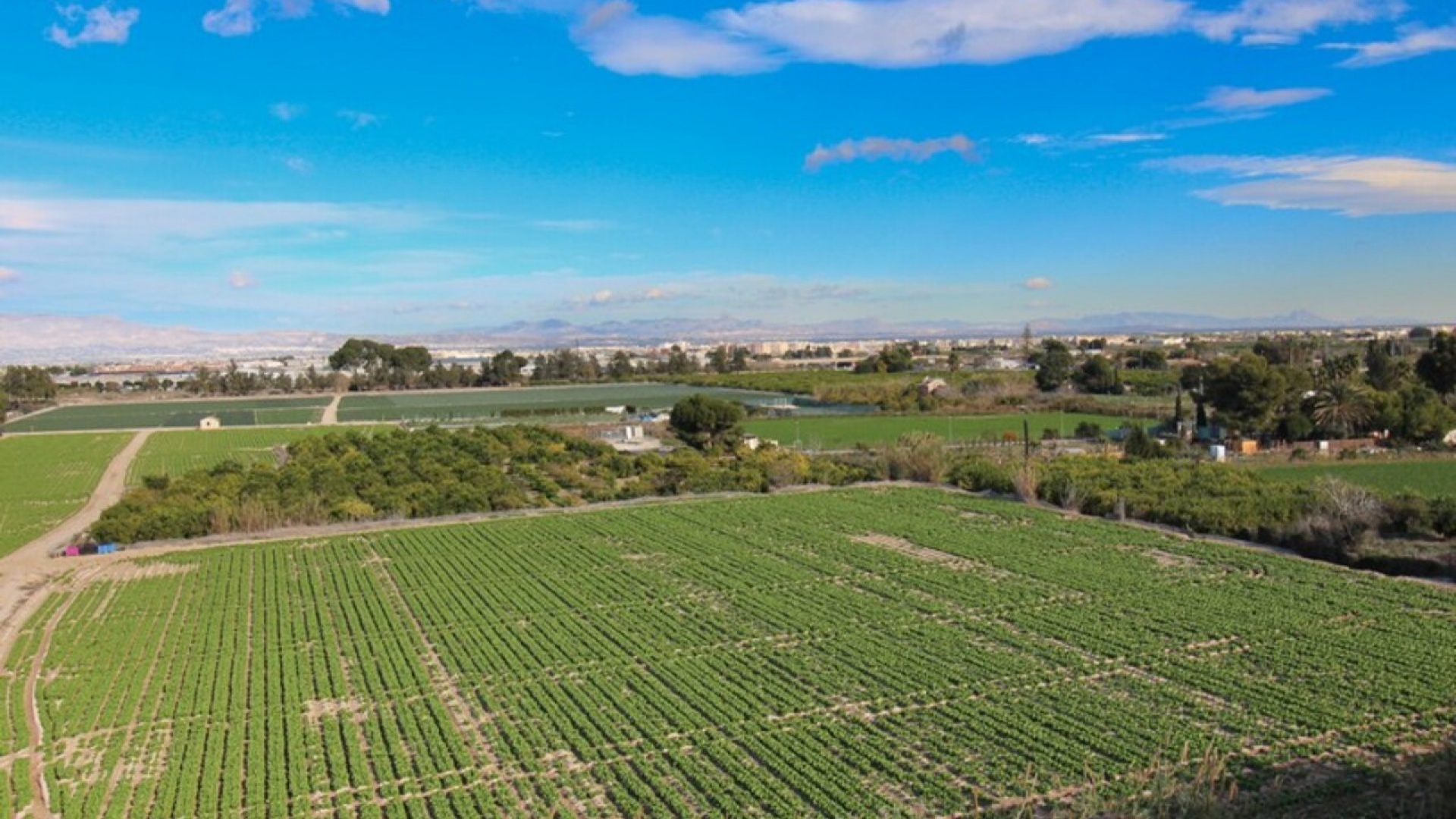 Resale - Apartment - Algorfa - res cecilia