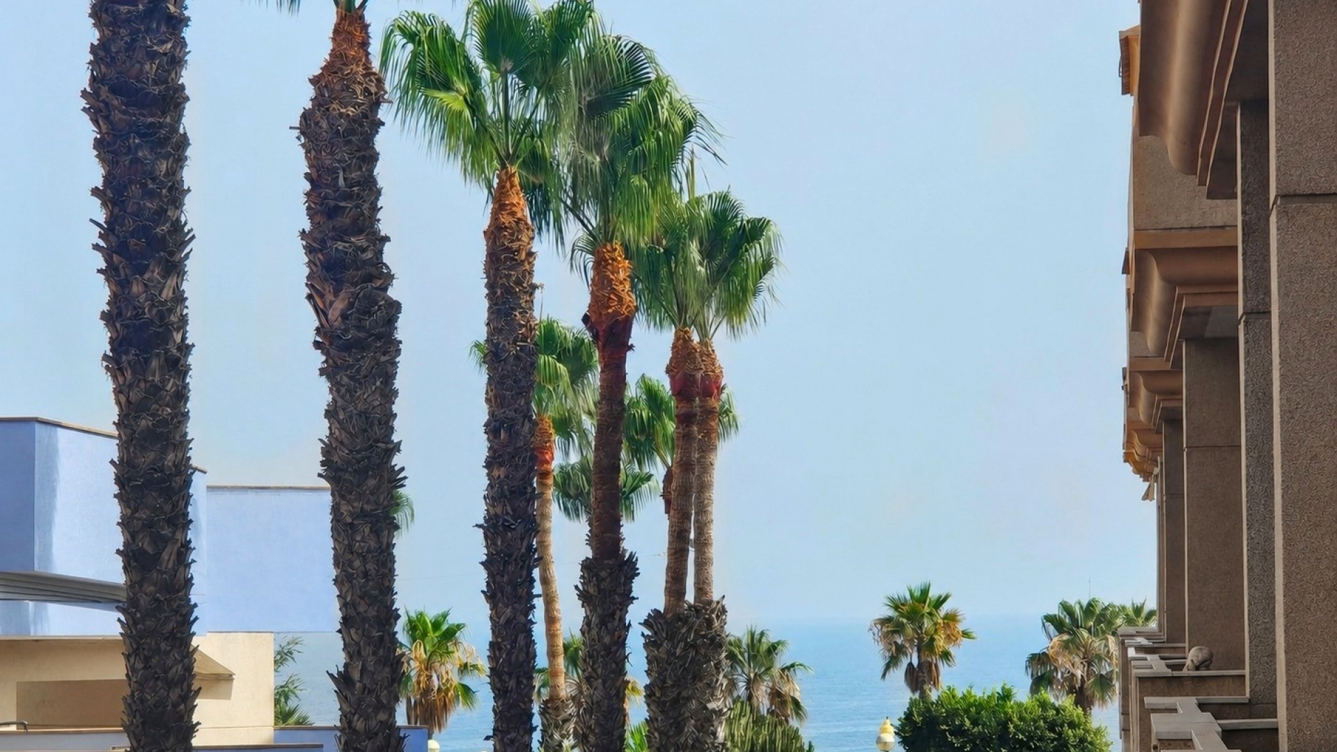 Resale - Apartment - Cabo Roig - aguamarina