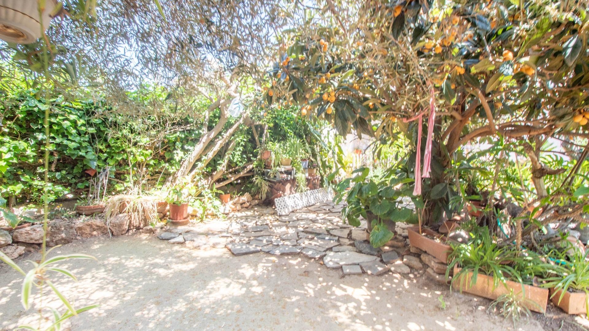 Resale - Apartment - Cabo Roig - la regia