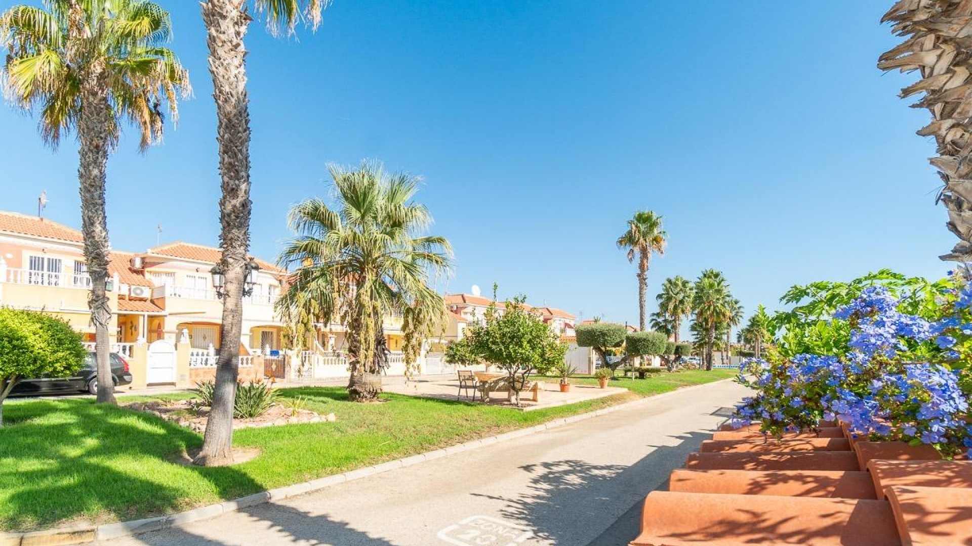 Resale - Apartment - Cabo Roig - la regia