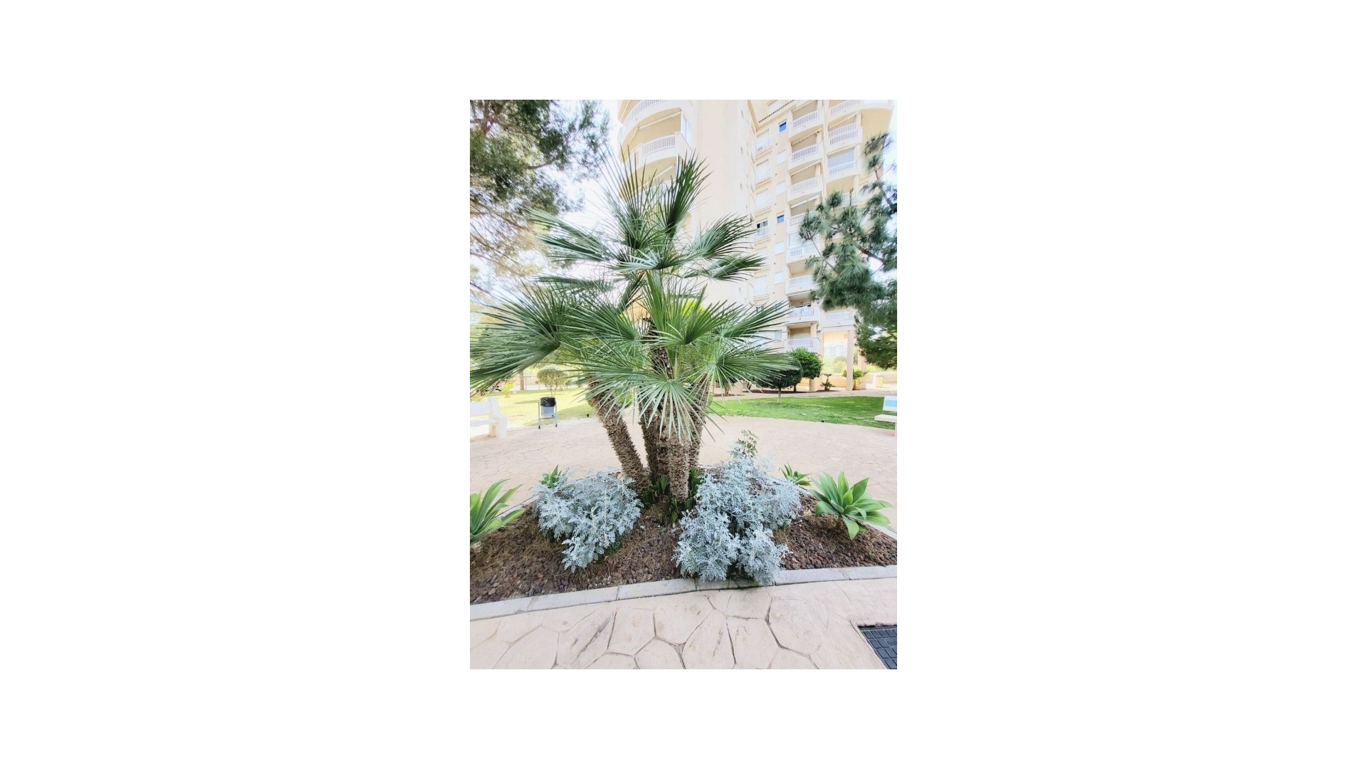 Resale - Apartment - Campoamor - Dehesa de Campoamor