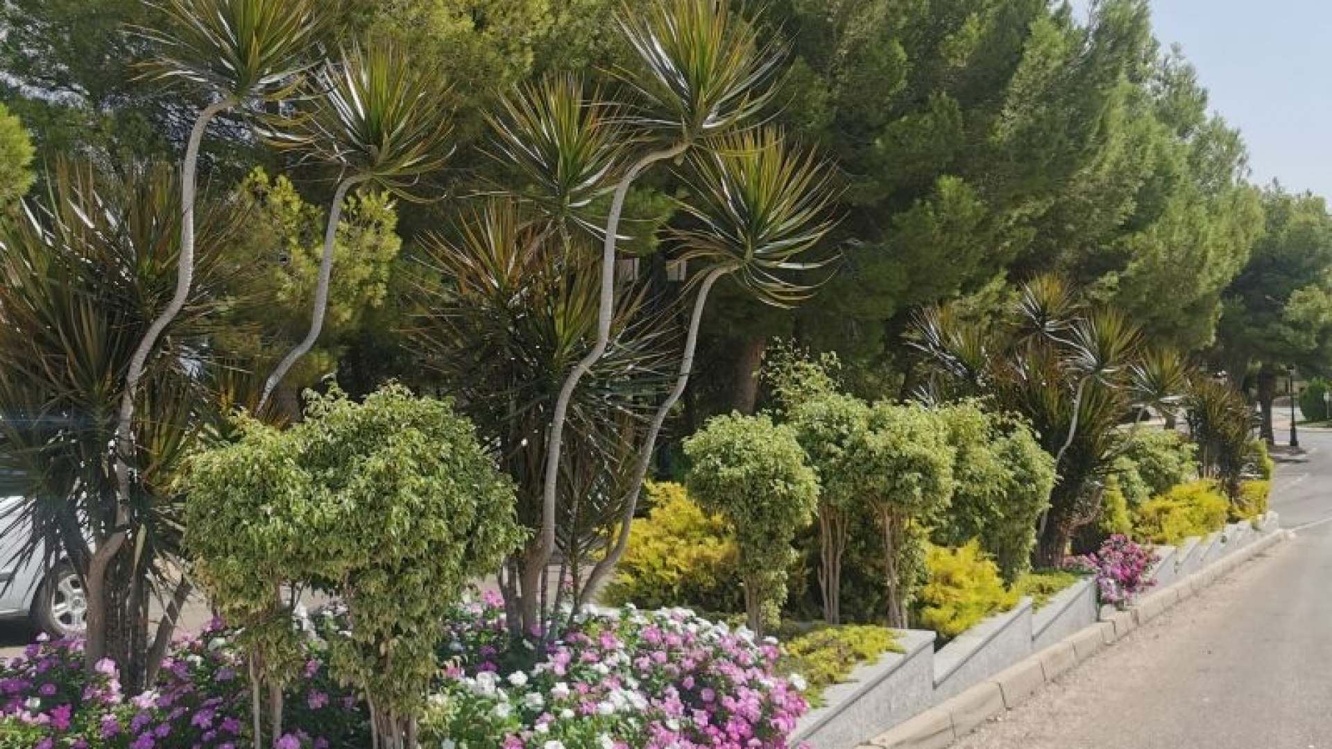 Resale - Apartment - Campoamor