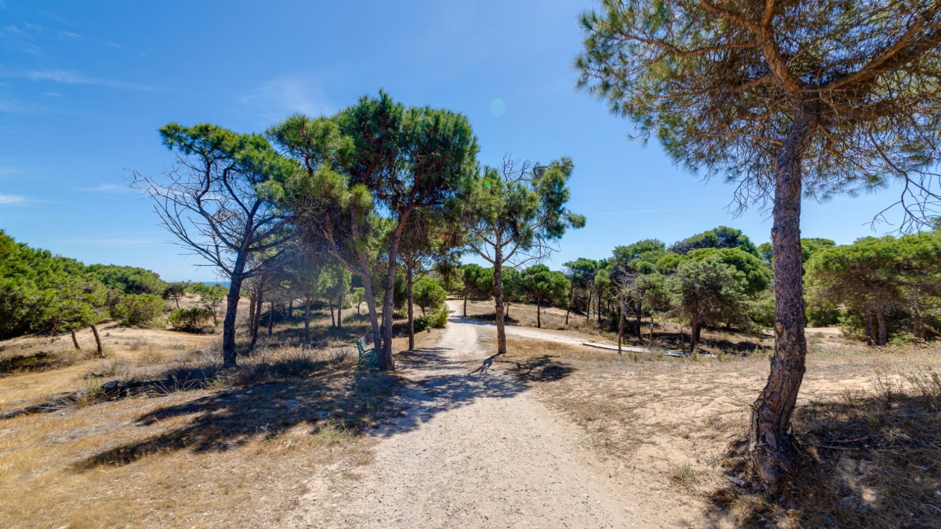 Resale - Apartment - Guardamar del Segura - beachside