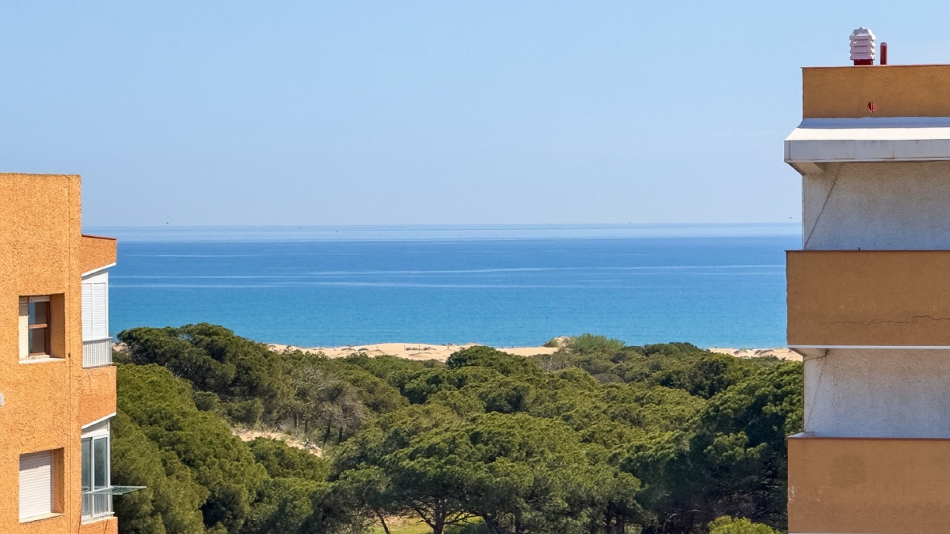 Resale - Apartment - Guardamar del Segura - Guardamar del Segura Centro