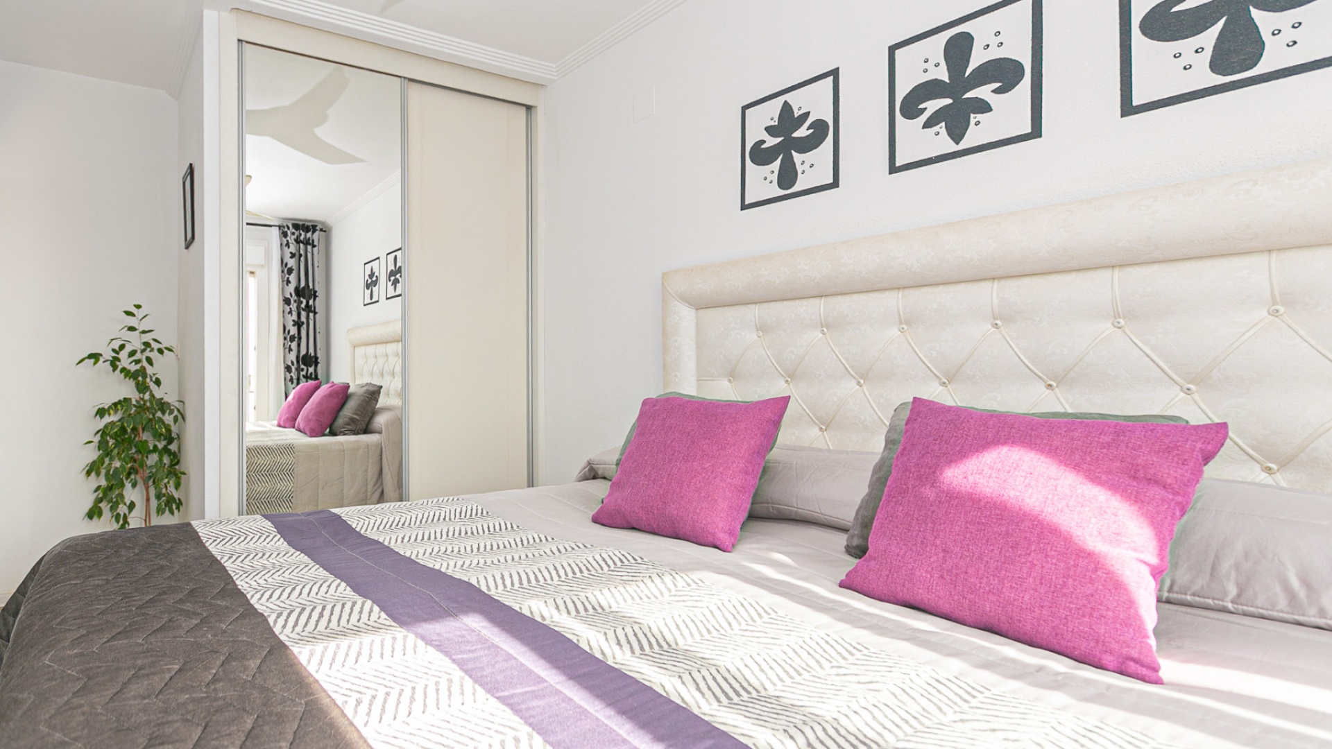 Resale - Apartment - La Zenia - beachside la zenia