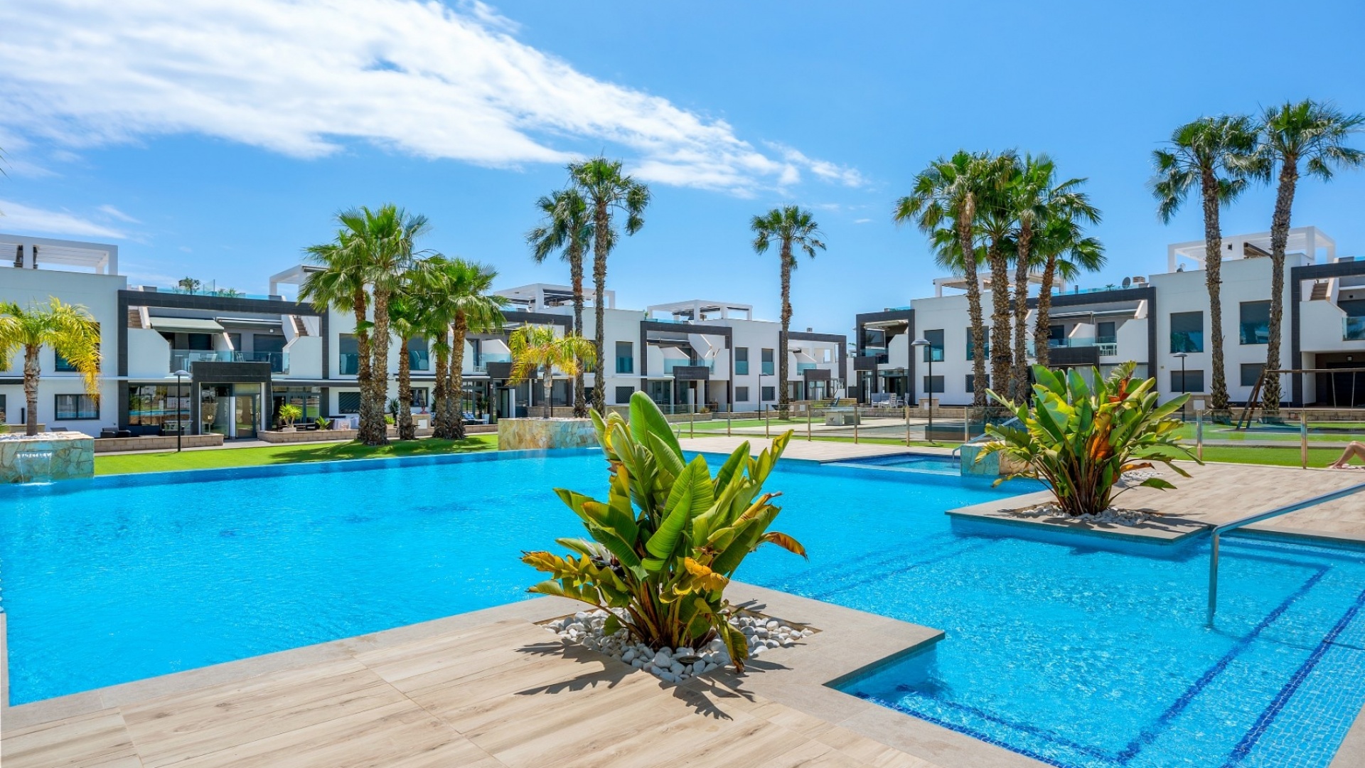 Resale - Apartment - La Zenia - oasis beach