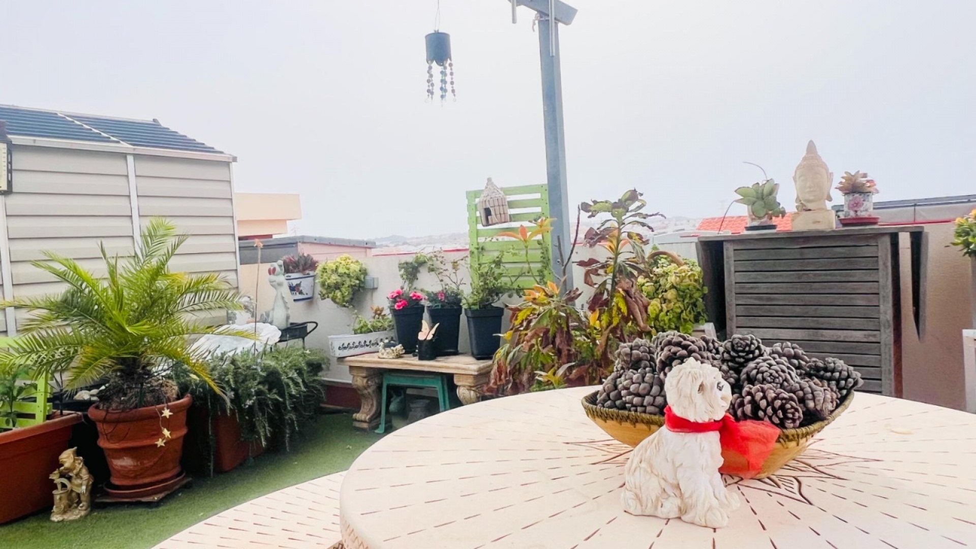 Resale - Apartment - Los Altos - dream hills