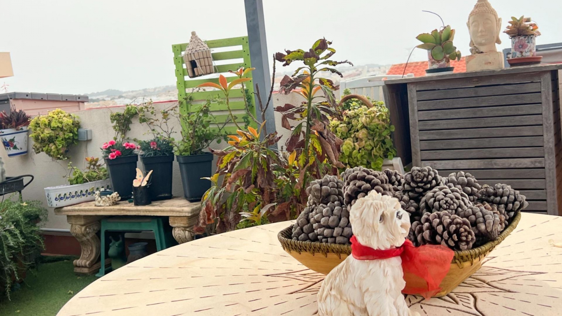 Resale - Apartment - Los Altos - dream hills