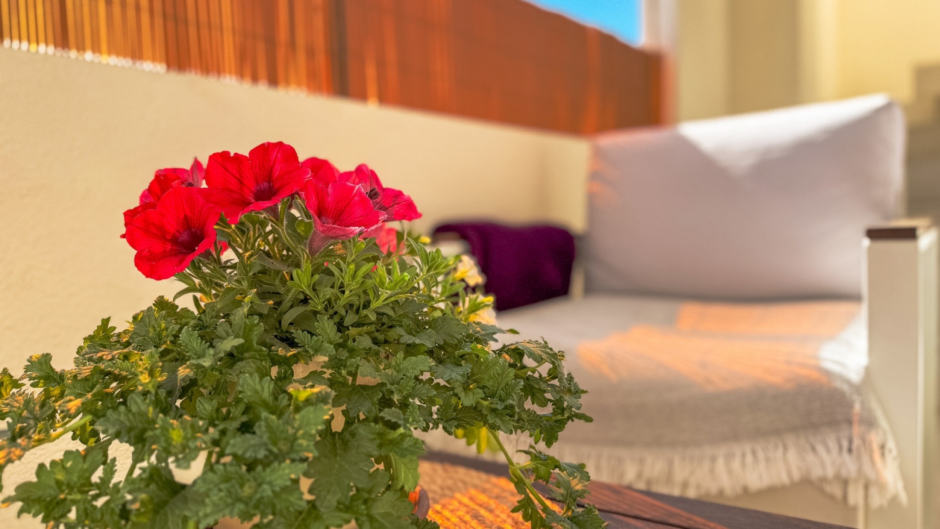 Resale - Apartment - Los Altos - dream hills