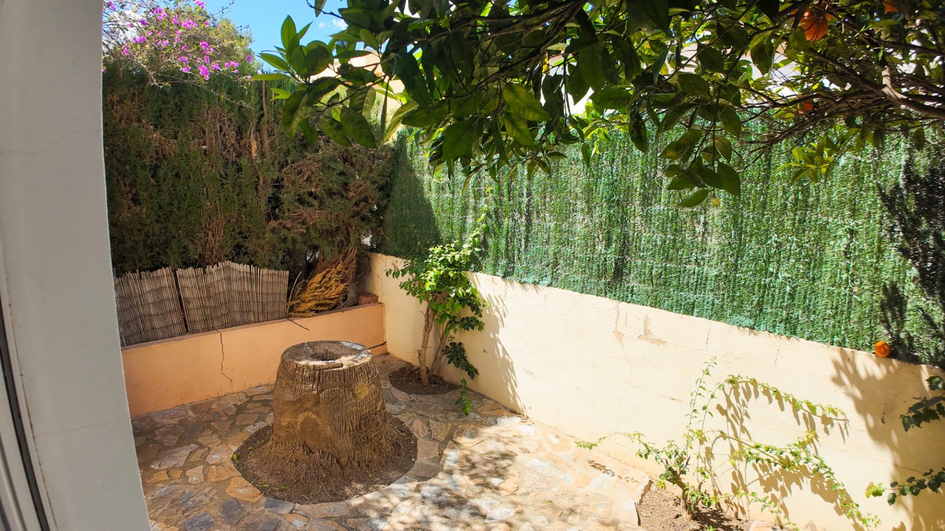 Resale - Apartment - Los Altos