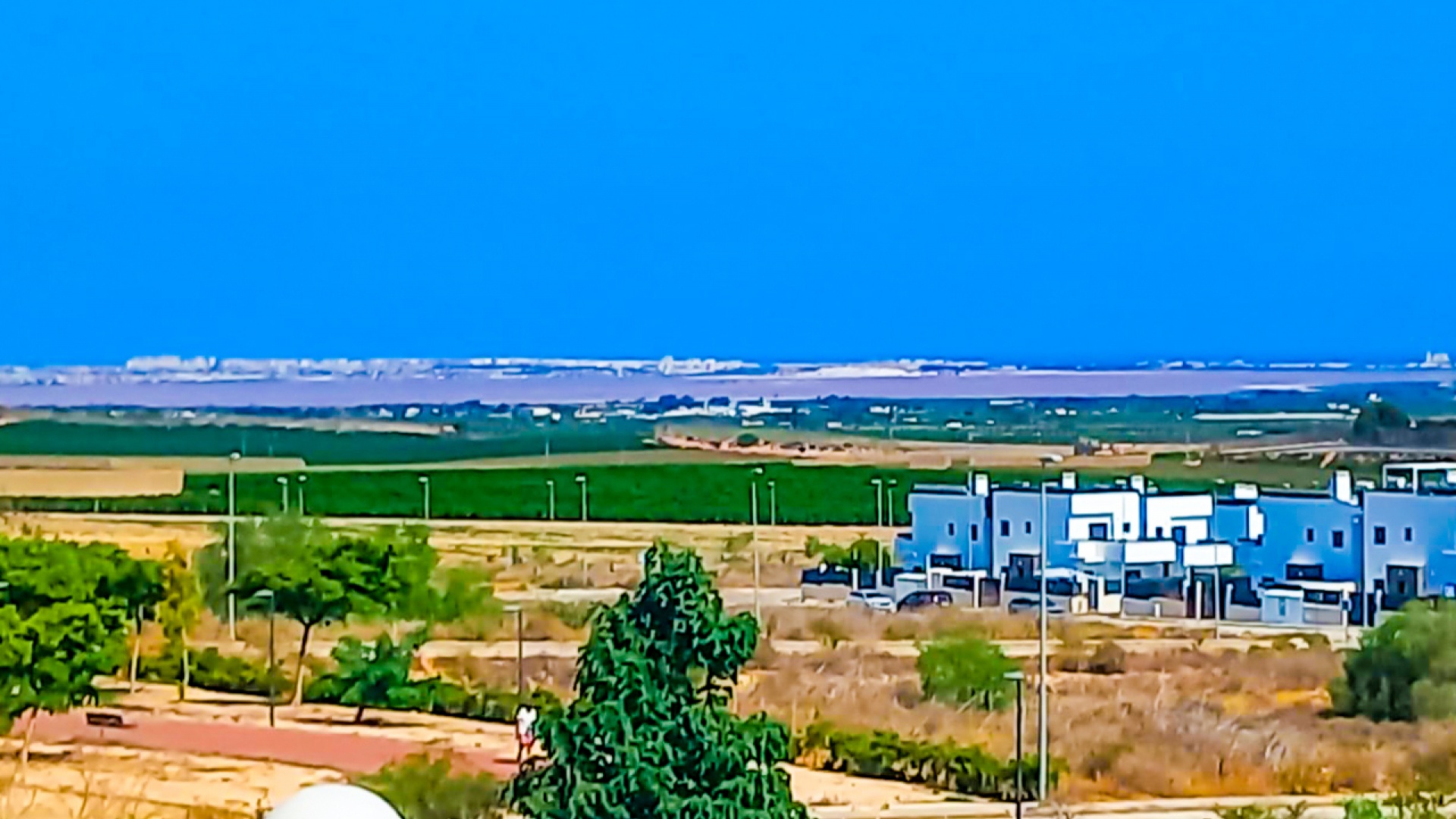 Resale - Apartment - Los Montesinos - entre naranjos