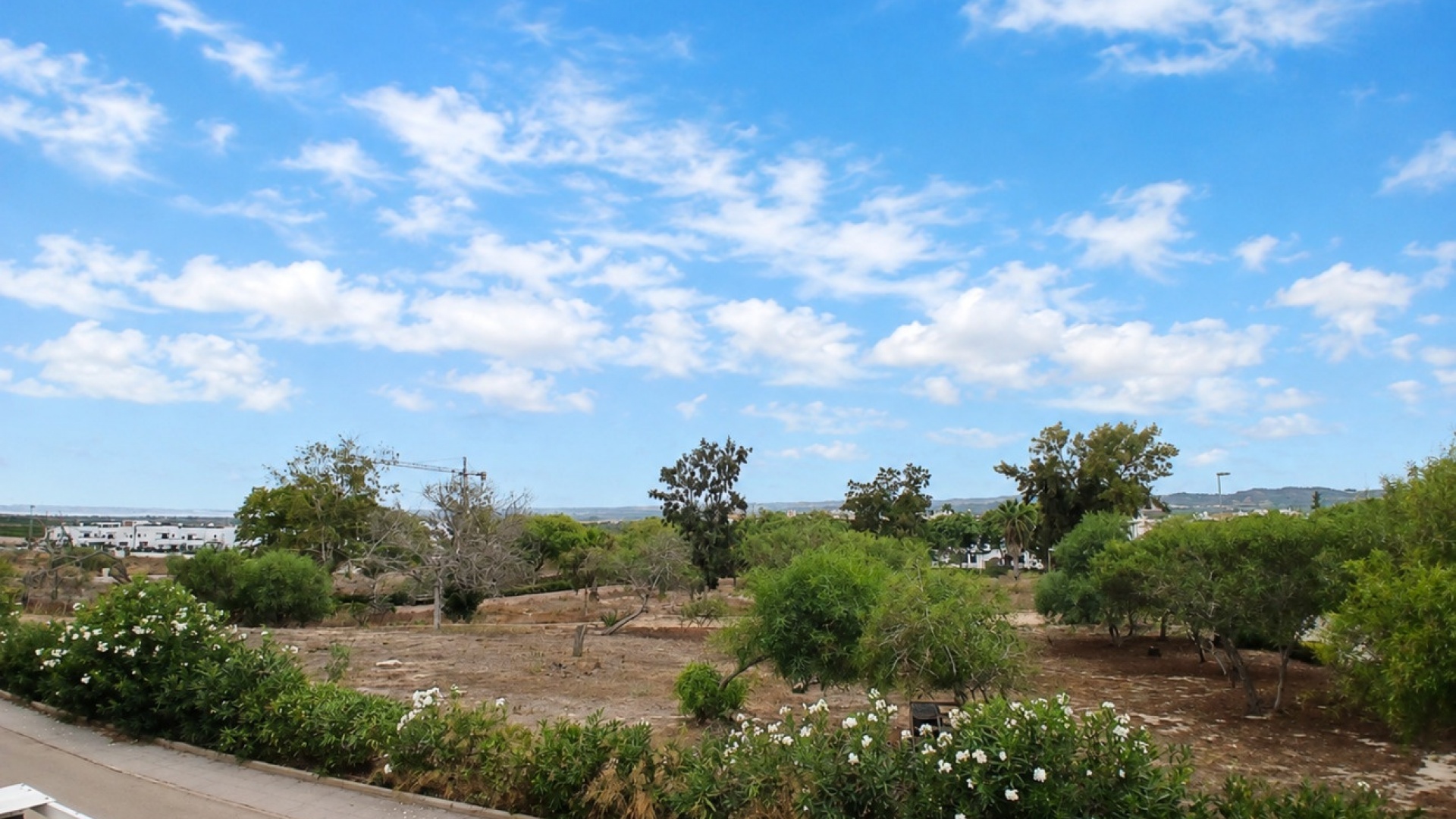 Resale - Apartment - Los Montesinos - entre naranjos