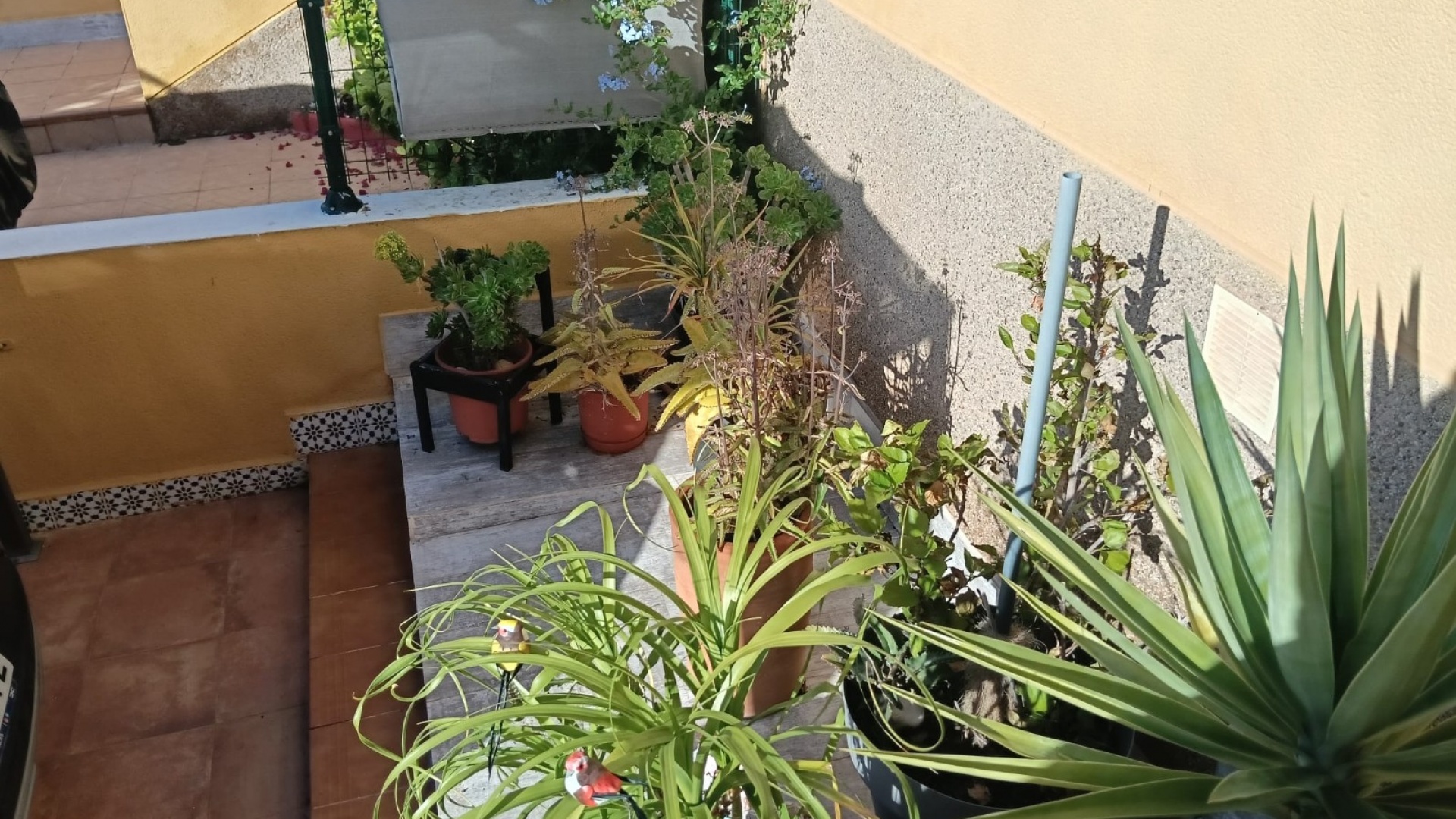 Resale - Apartment - Los Montesinos - La Herada