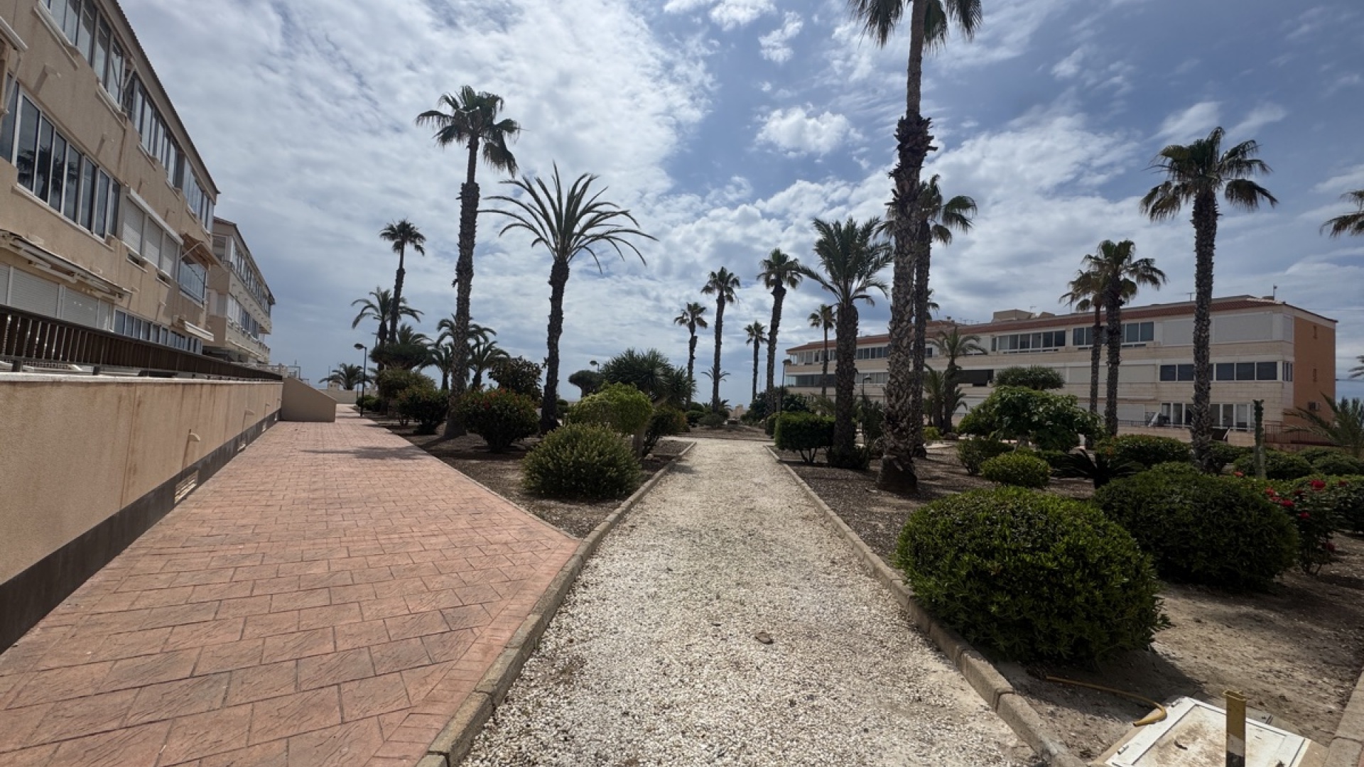 Resale - Apartment - Mil Palmeras