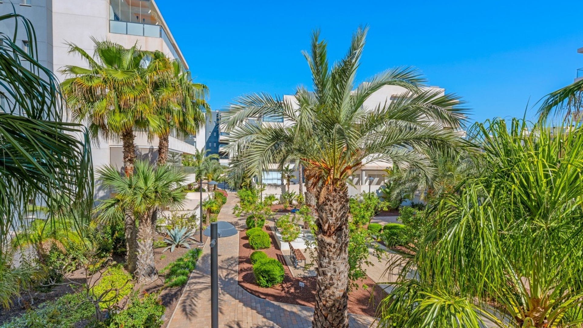 Resale - Apartment - Orihuela - Los Dolses
