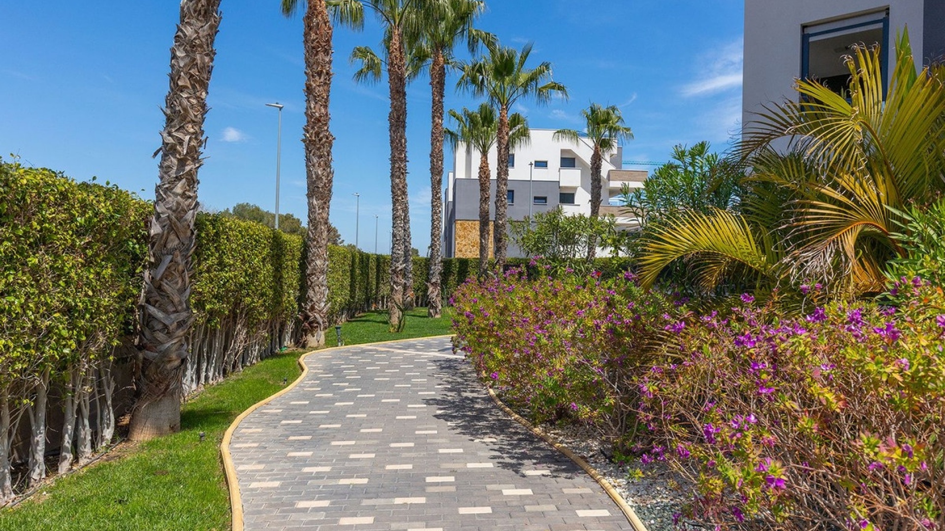 Resale - Apartment - Orihuela - Orihuela Costa