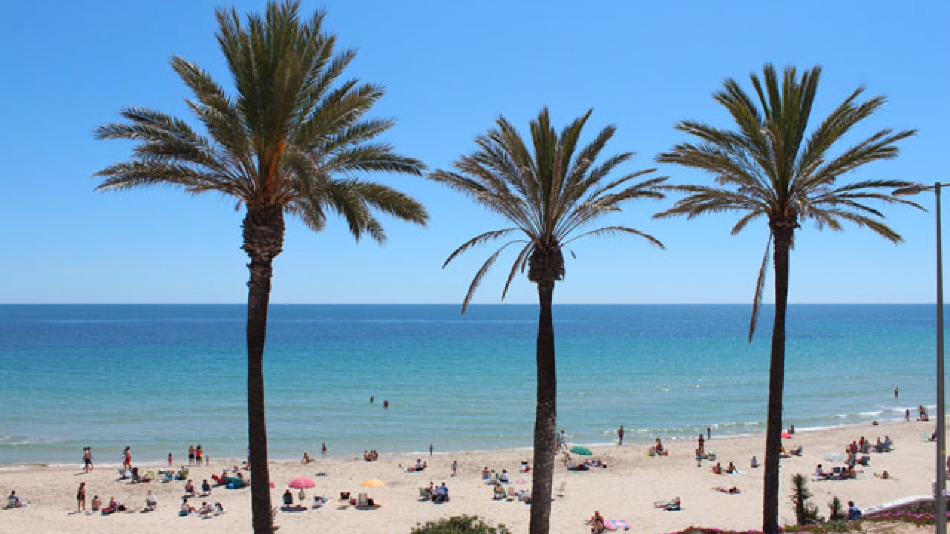 Resale - Apartment - Pilar de la Horadada - Mil Palmeras