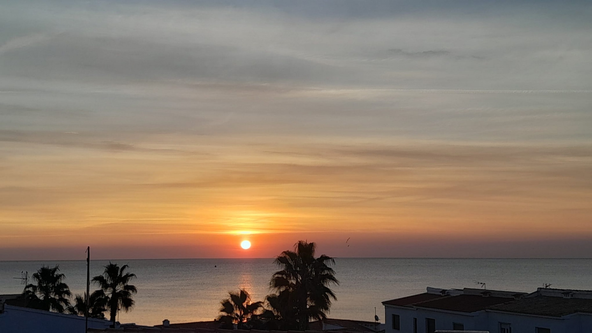 Resale - Apartment - Playa Flamenca - beachside playa flamenca