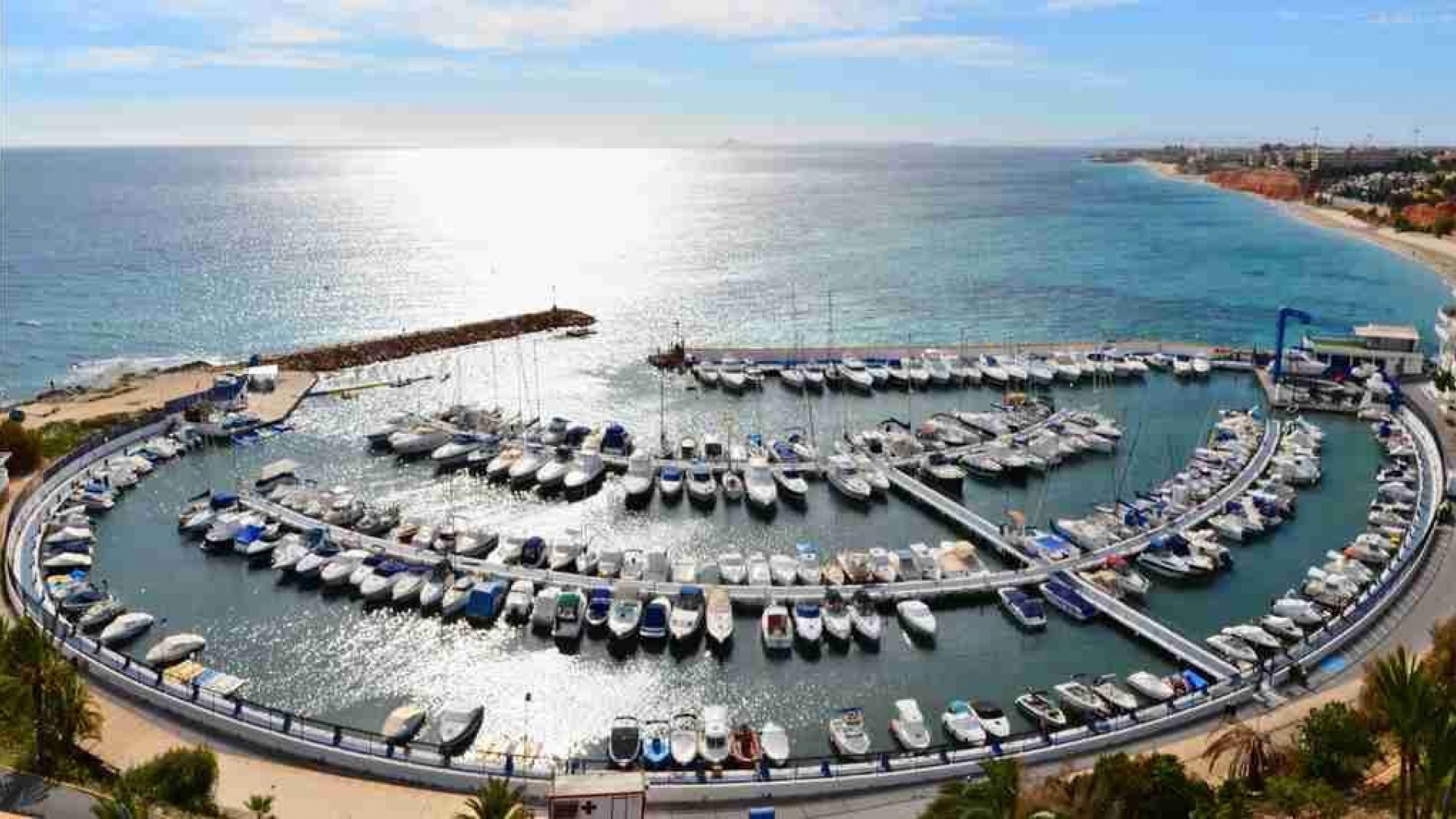 Resale - Apartment - Playa Flamenca - beachside playa flamenca