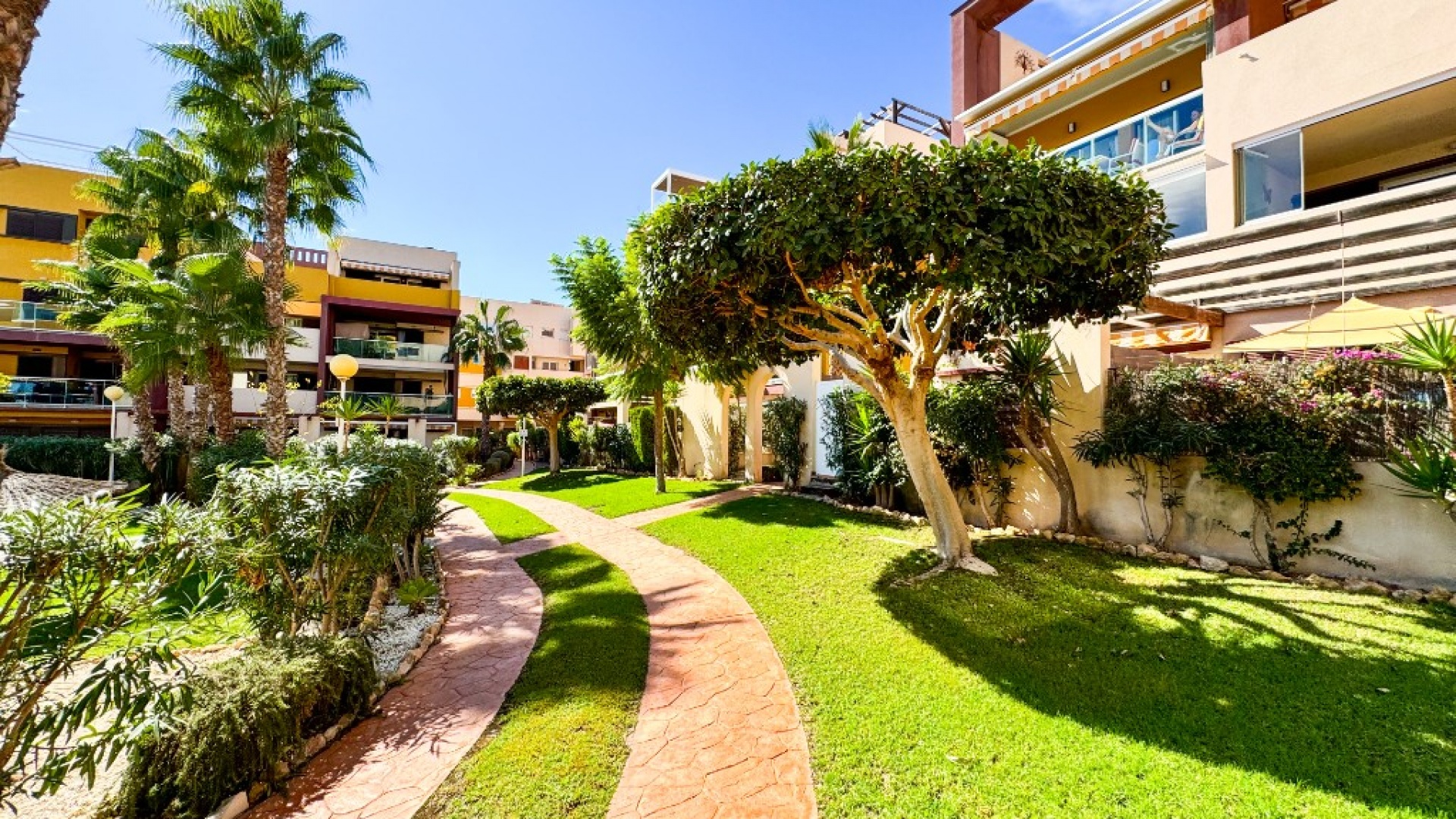 Resale - Apartment - Playa Flamenca - el bosque