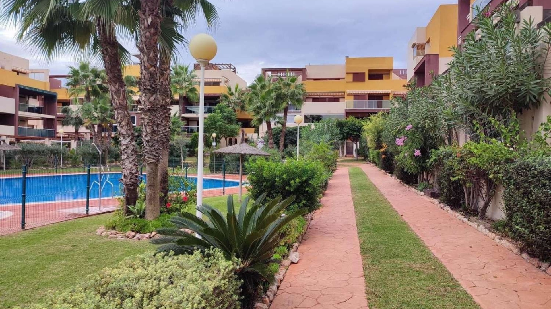 Resale - Apartment - Playa Flamenca - el bosque