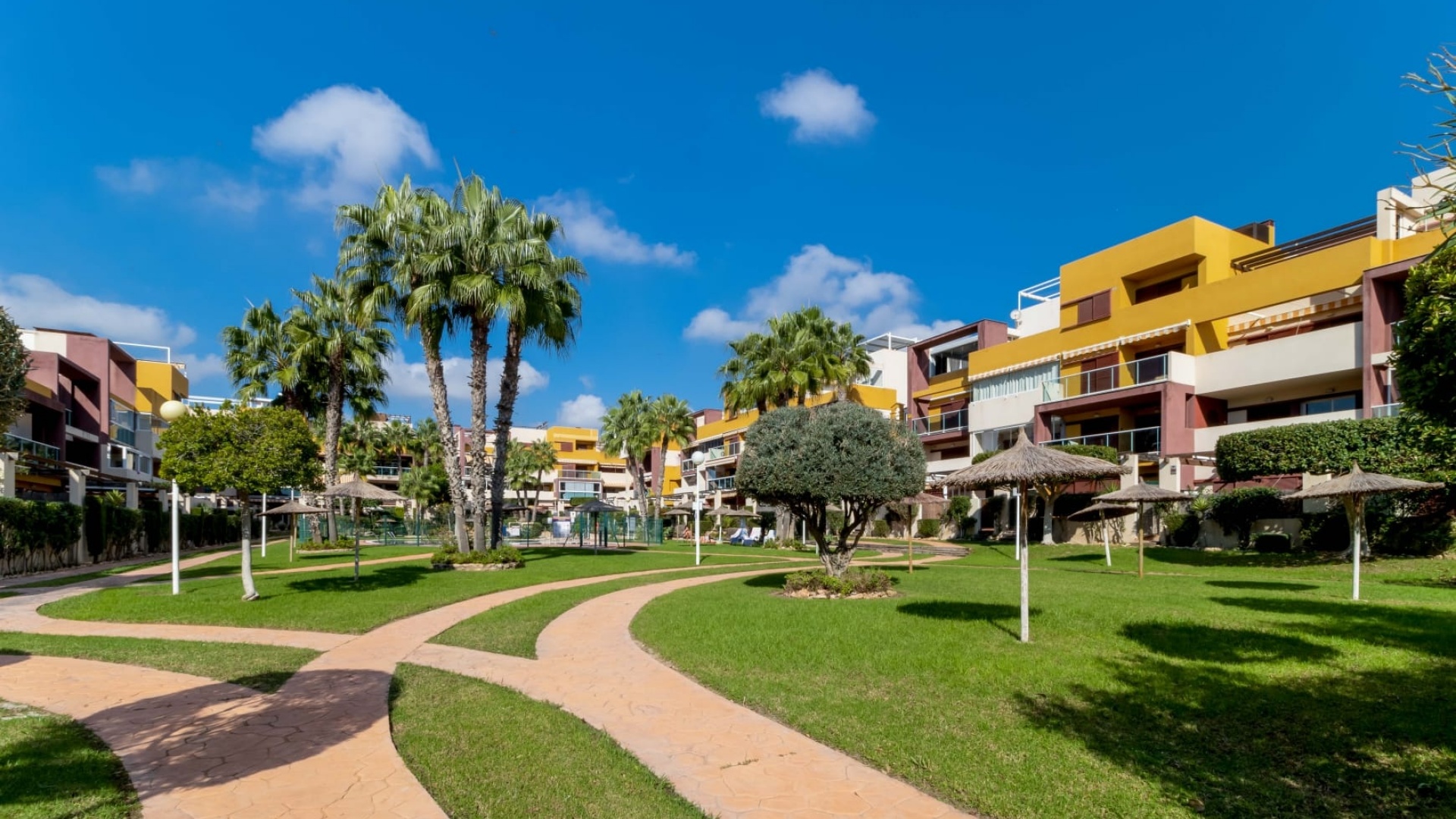 Resale - Apartment - Playa Flamenca - el bosque