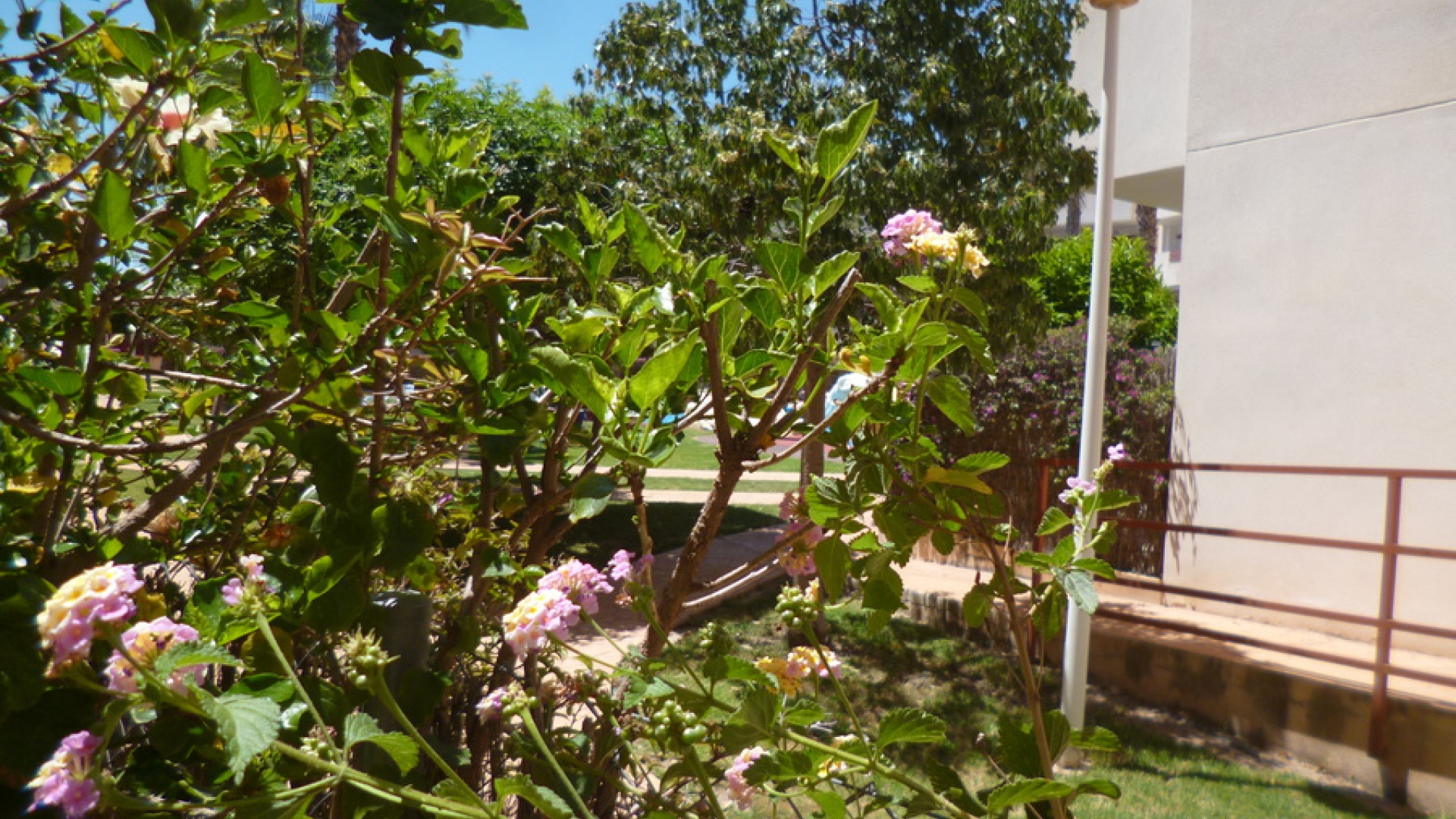 Resale - Apartment - Playa Flamenca - el rincon