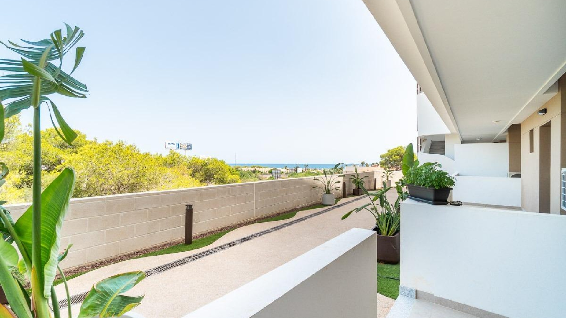 Resale - Apartment - Playa Flamenca - Flamenca Sun