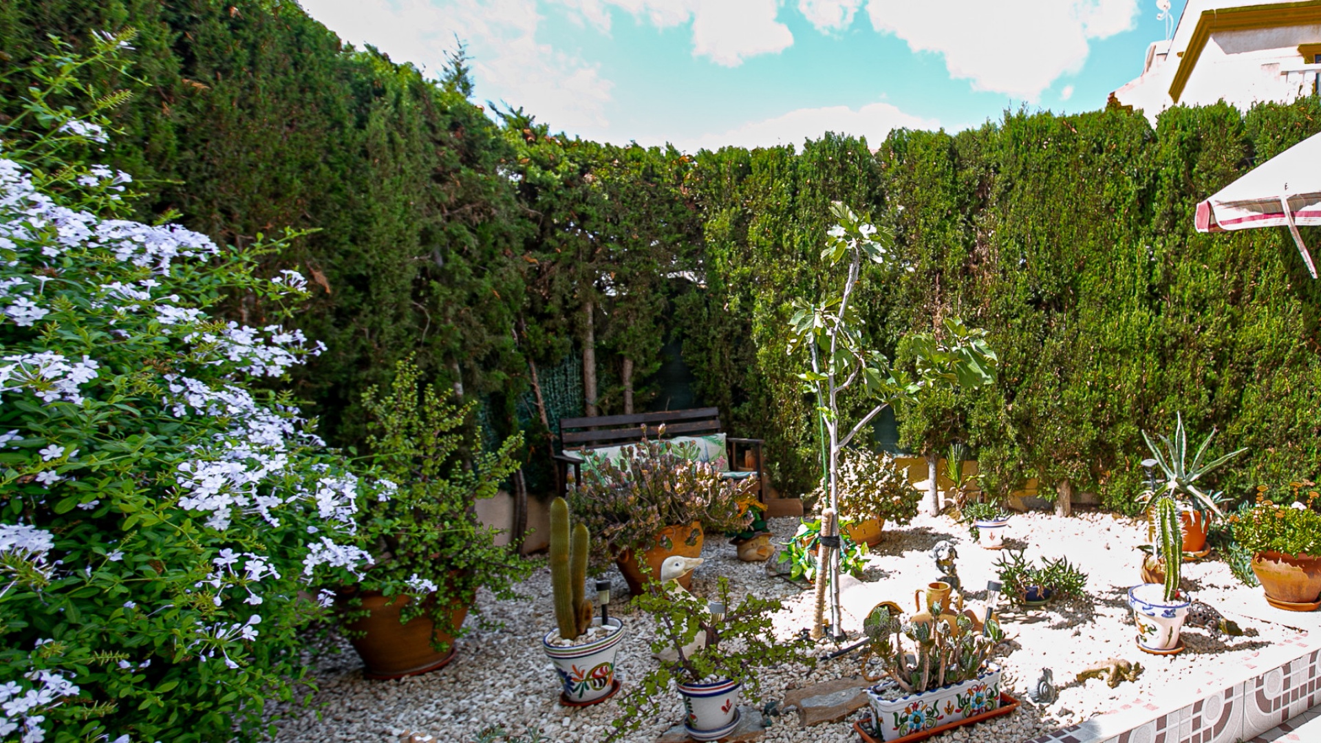 Resale - Apartment - Playa Flamenca - flamingo hills