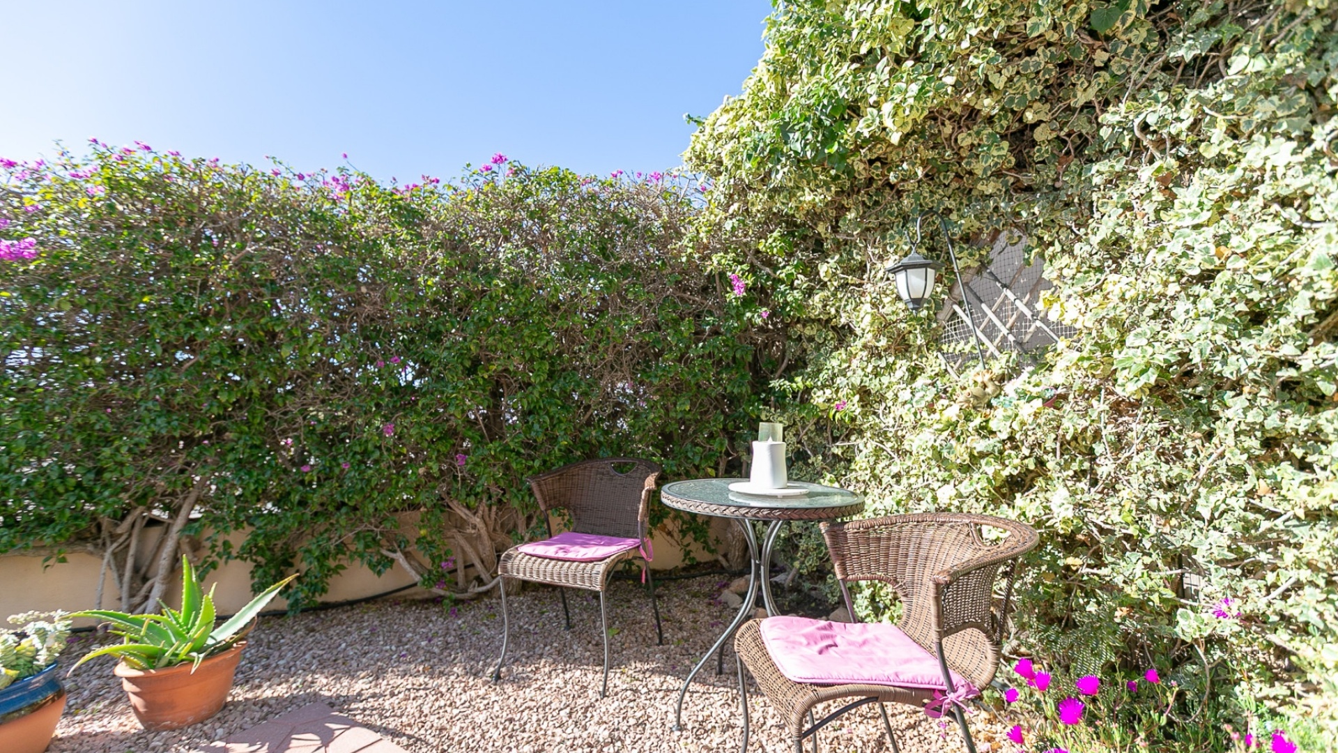 Resale - Apartment - Playa Flamenca - jumilla