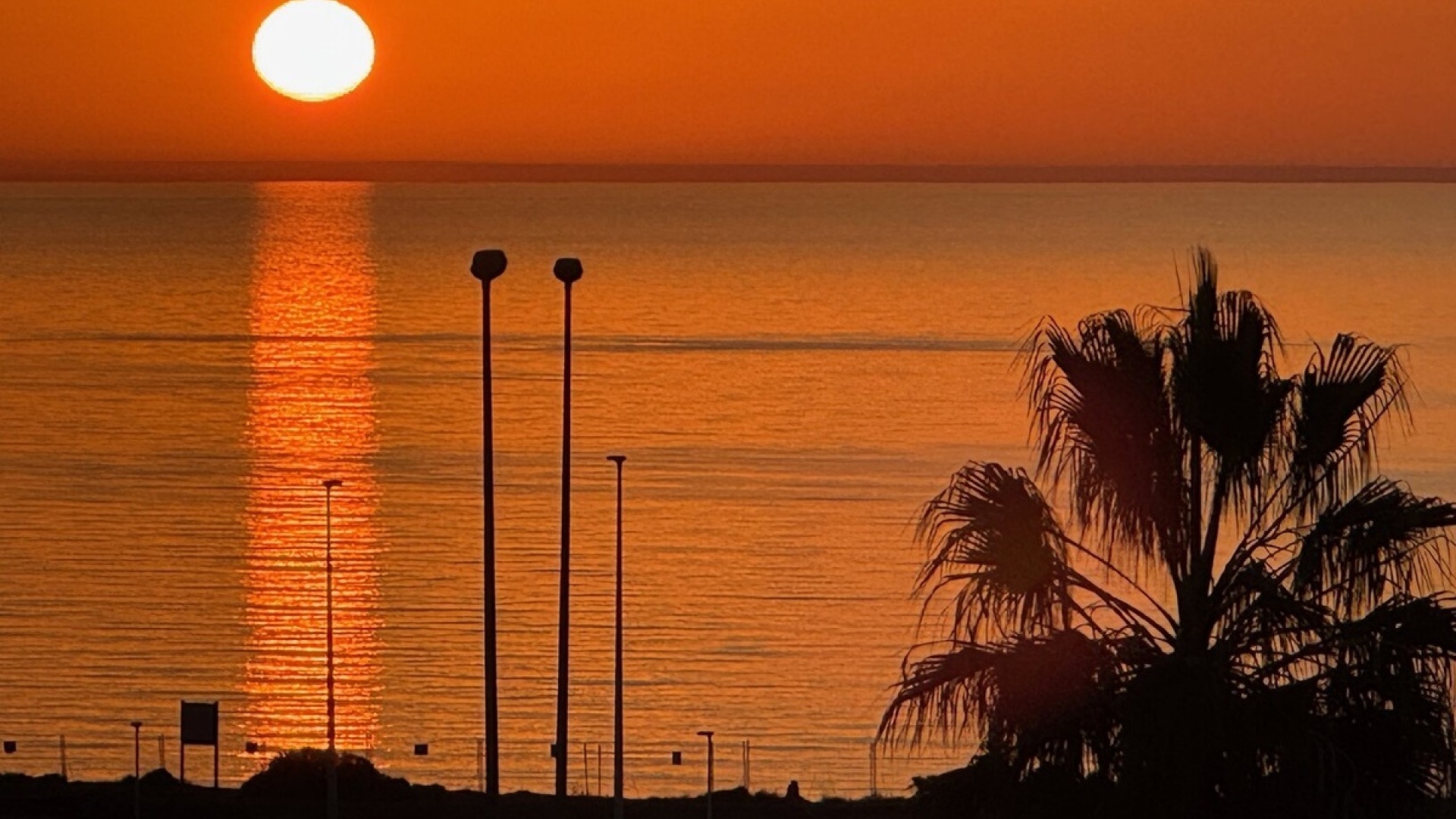 Resale - Apartment - Playa Flamenca - la calma