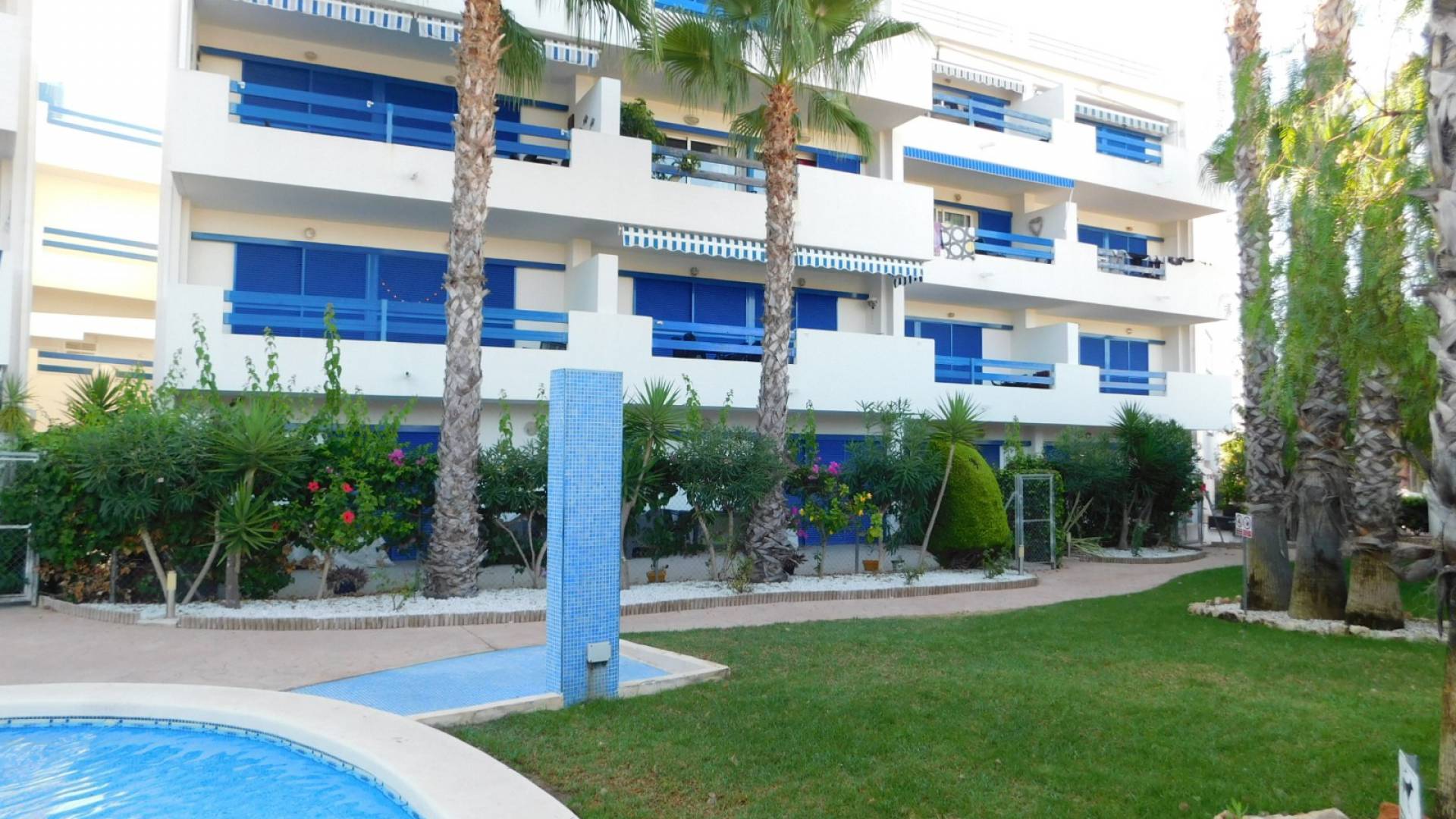 Resale - Apartment - Playa Flamenca - la calma