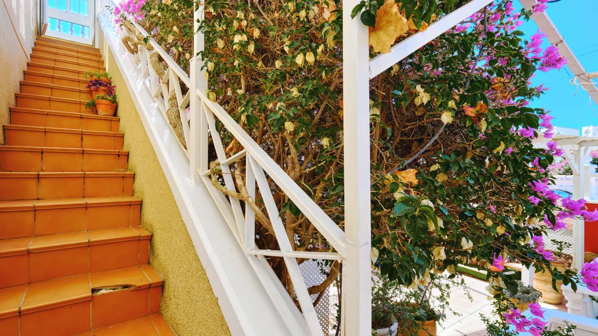 Resale - Apartment - Playa Flamenca - la concha