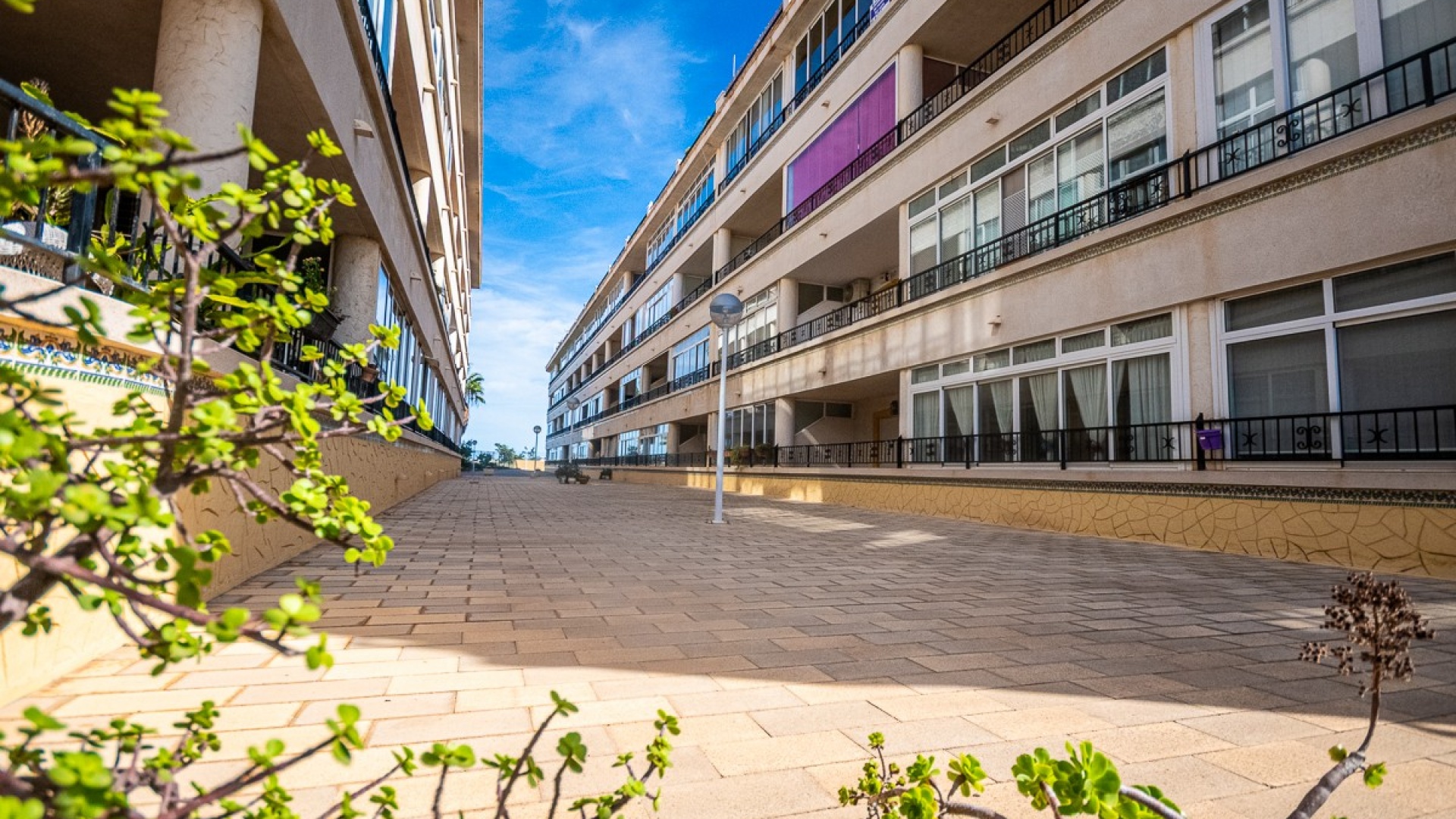 Resale - Apartment - Playa Flamenca - la mirada