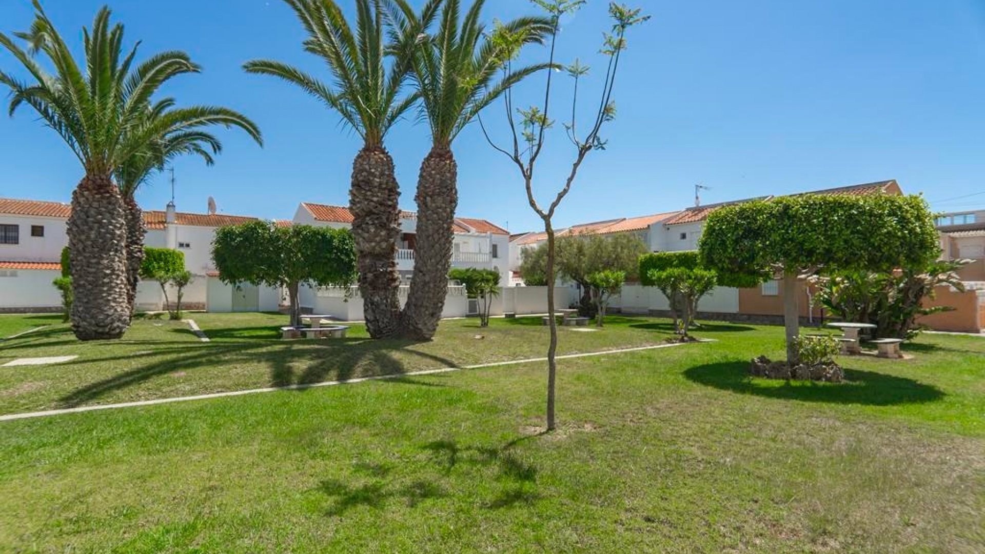 Resale - Apartment - Playa Flamenca - las chismosas