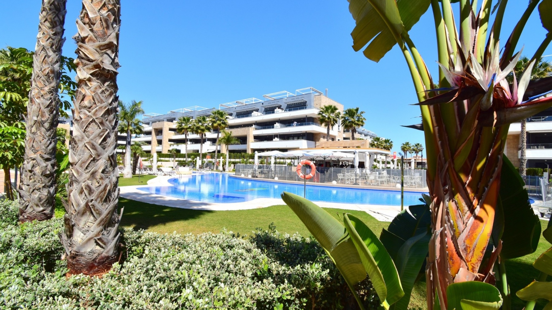 Resale - Apartment - Playa Flamenca - Res. Flamenca Village