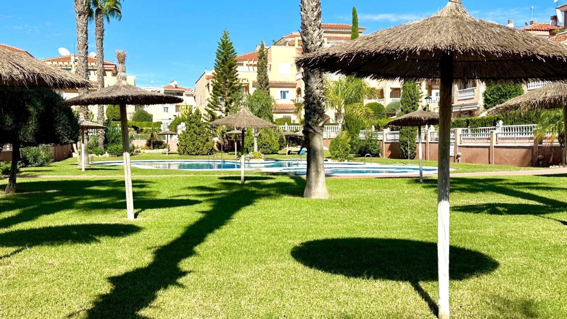 Resale - Apartment - Playa Flamenca - zeniamar