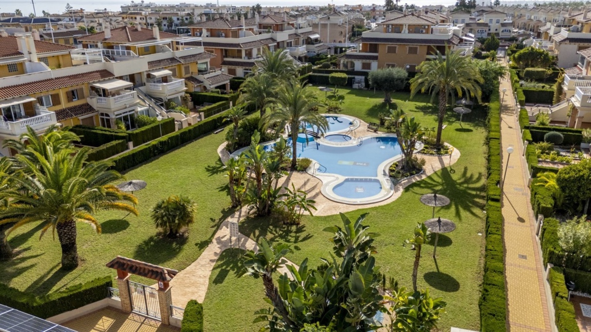 Resale - Apartment - Playa Flamenca - Zeniamar