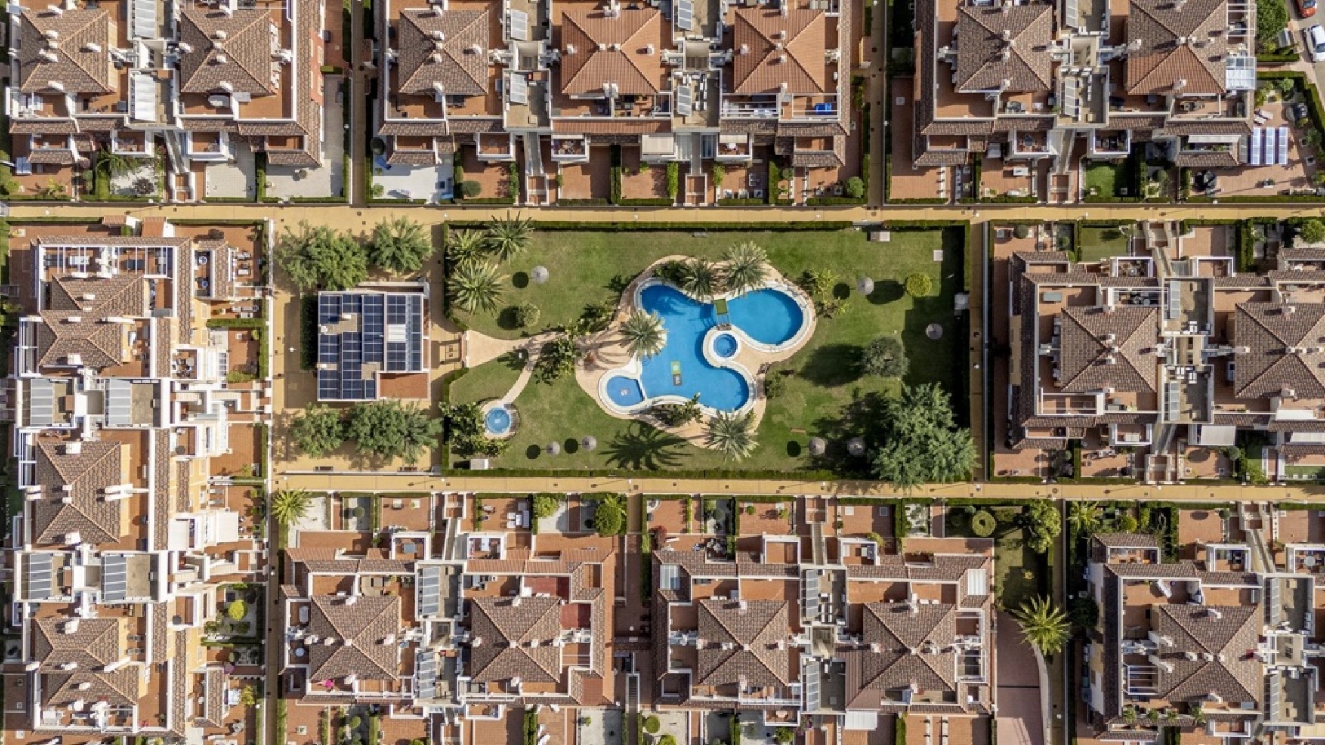 Resale - Apartment - Playa Flamenca - Zeniamar