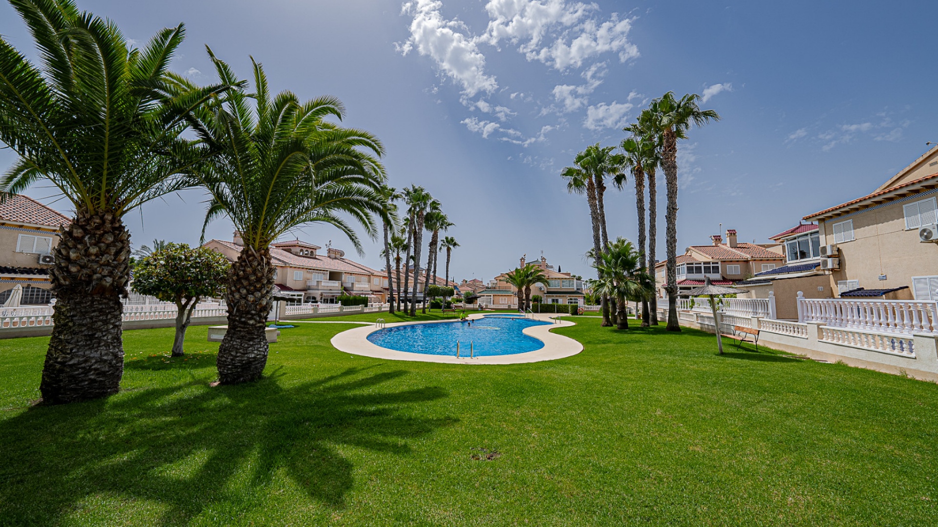 Resale - Apartment - Playa Flamenca - zeniamar