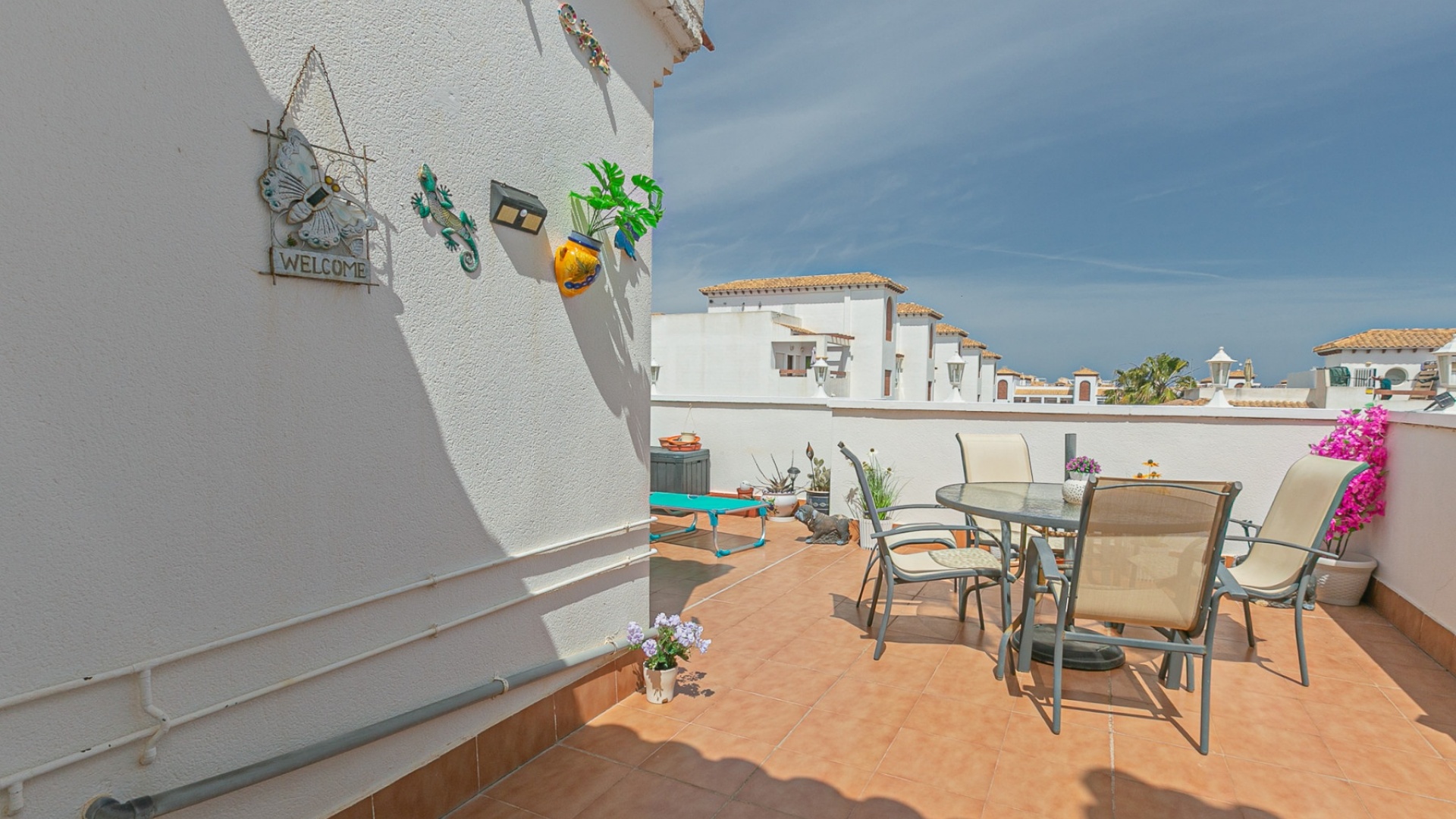 Resale - Apartment - Playa Flamenca - zeniamar