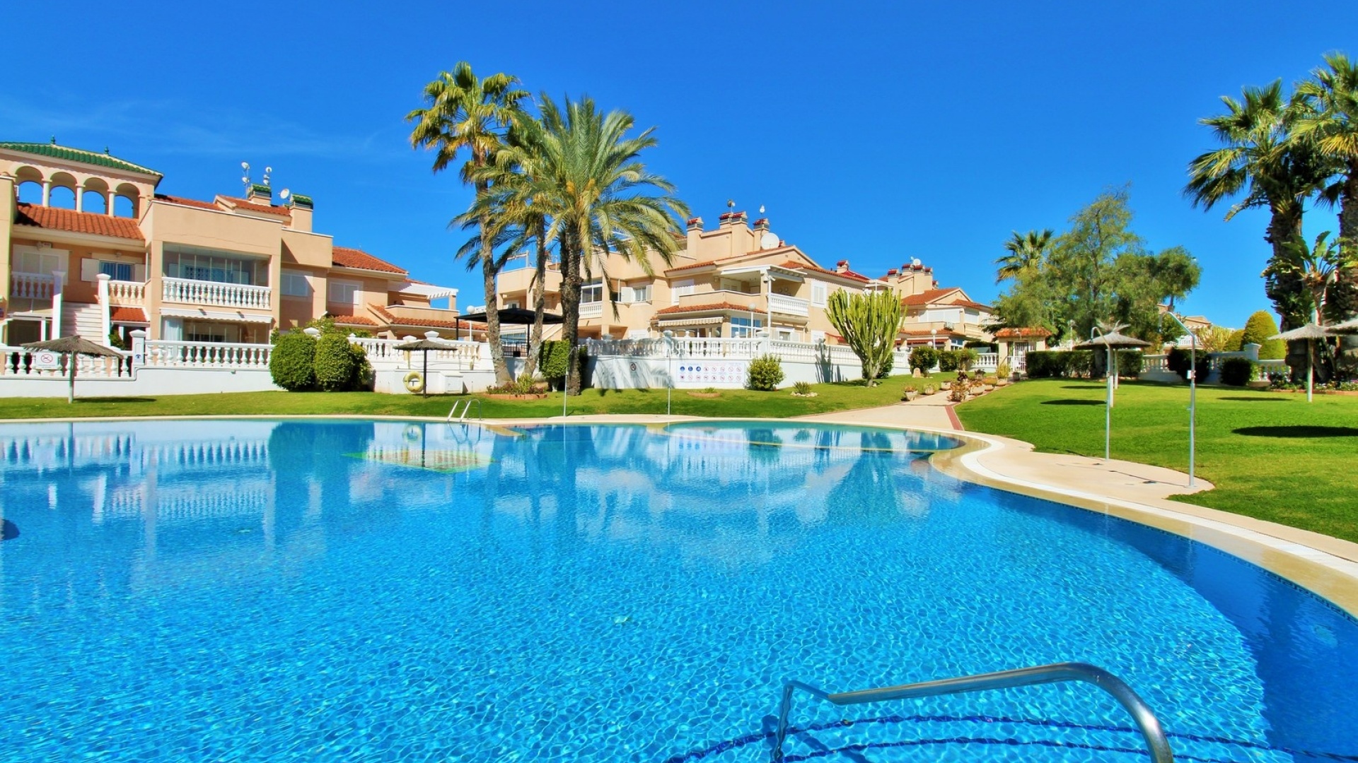 Resale - Apartment - Playa Flamenca - zeniamar