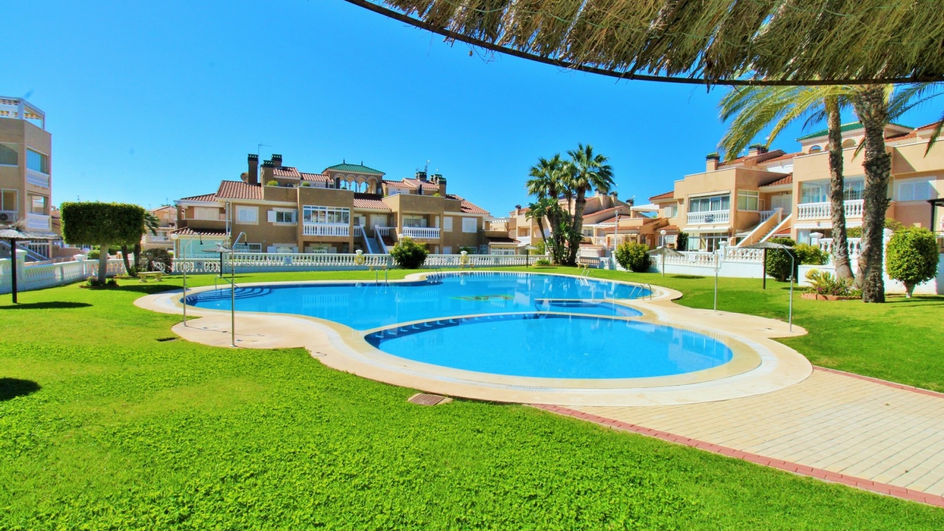 Resale - Apartment - Playa Flamenca - zeniamar
