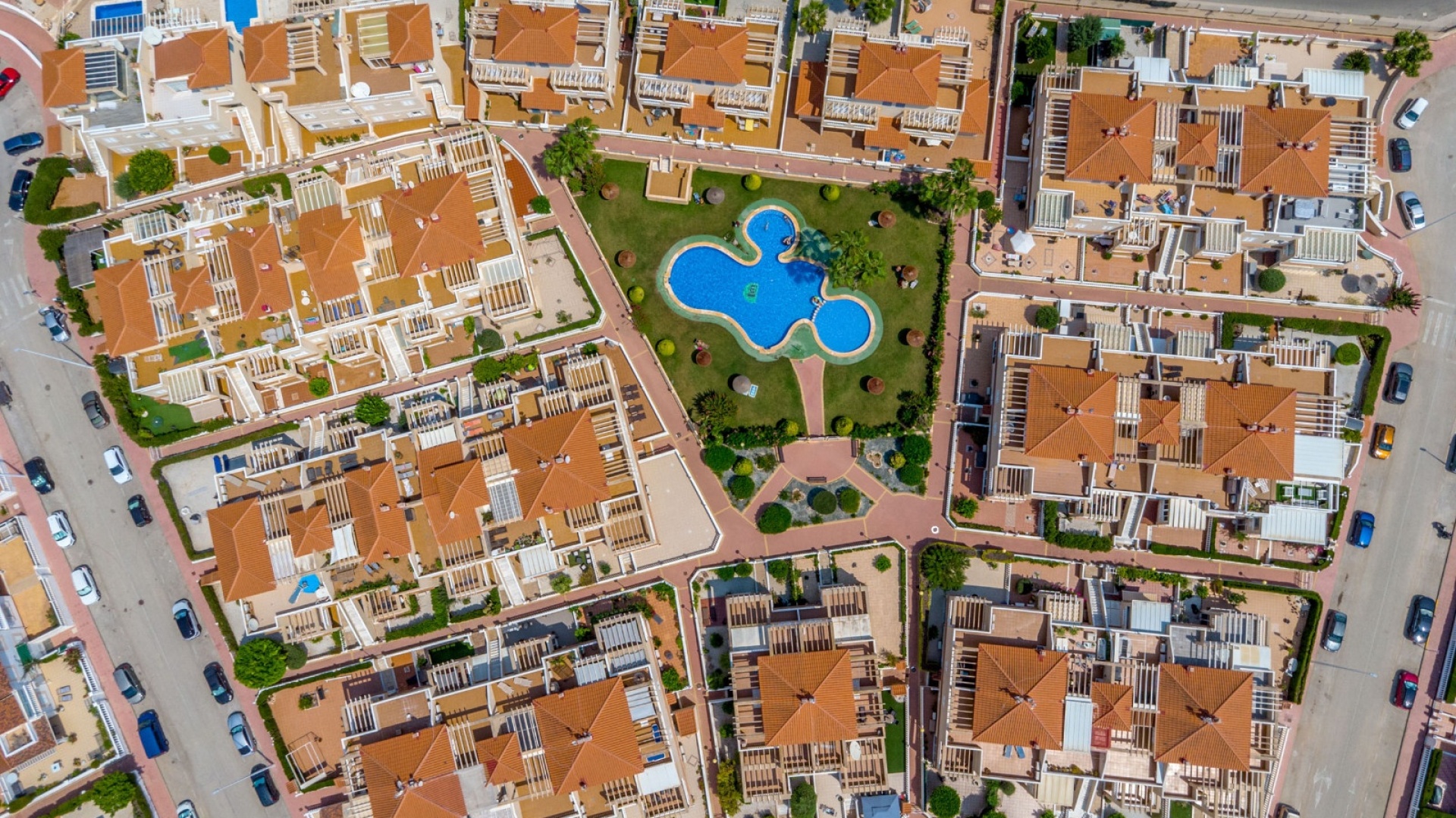 Resale - Apartment - Playa Flamenca - zeniamar