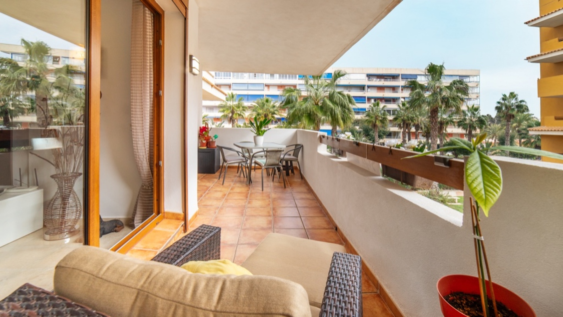 Resale - Apartment - Punta Prima - la entrada