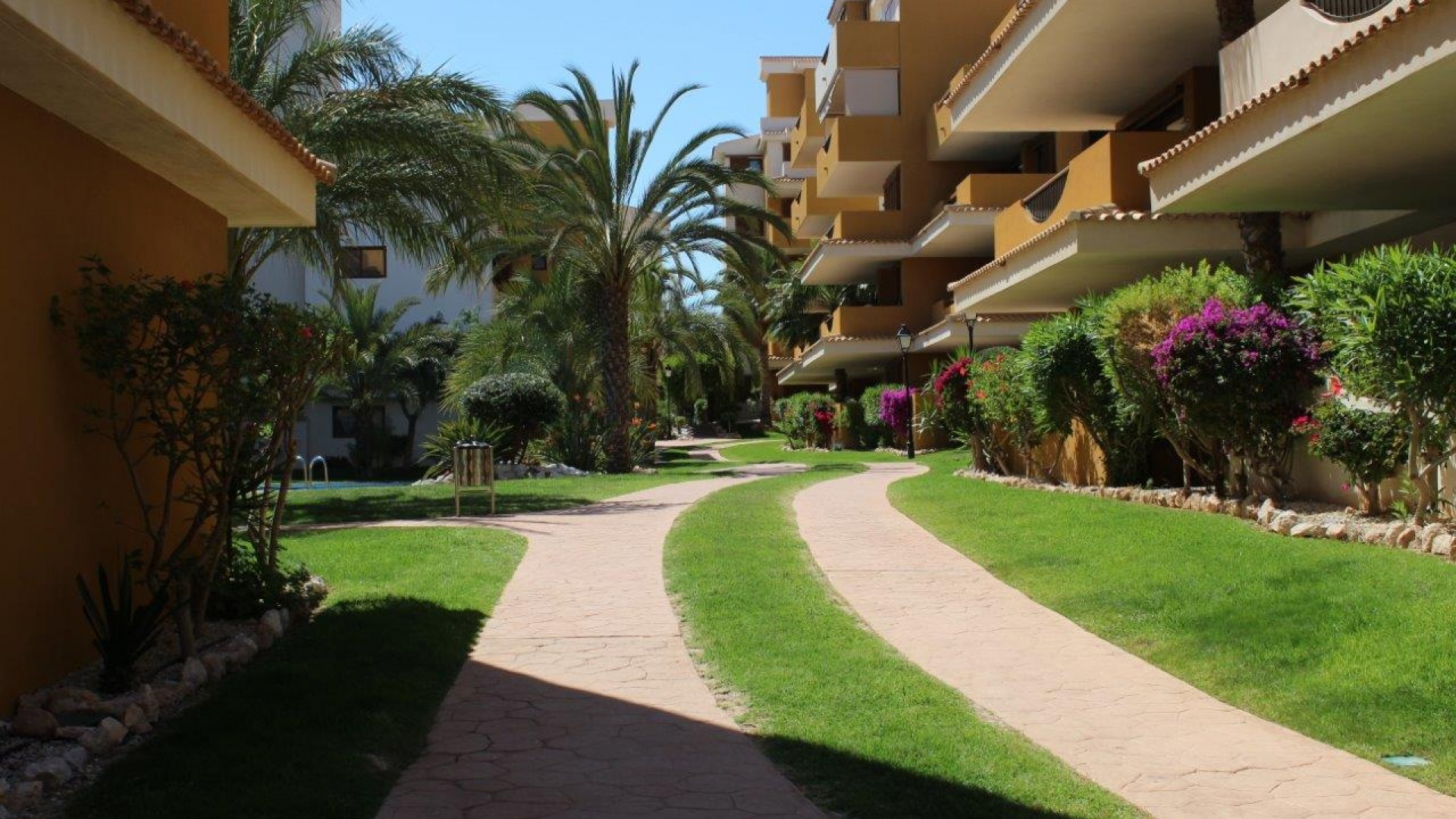 Resale - Apartment - Punta Prima - la entrada