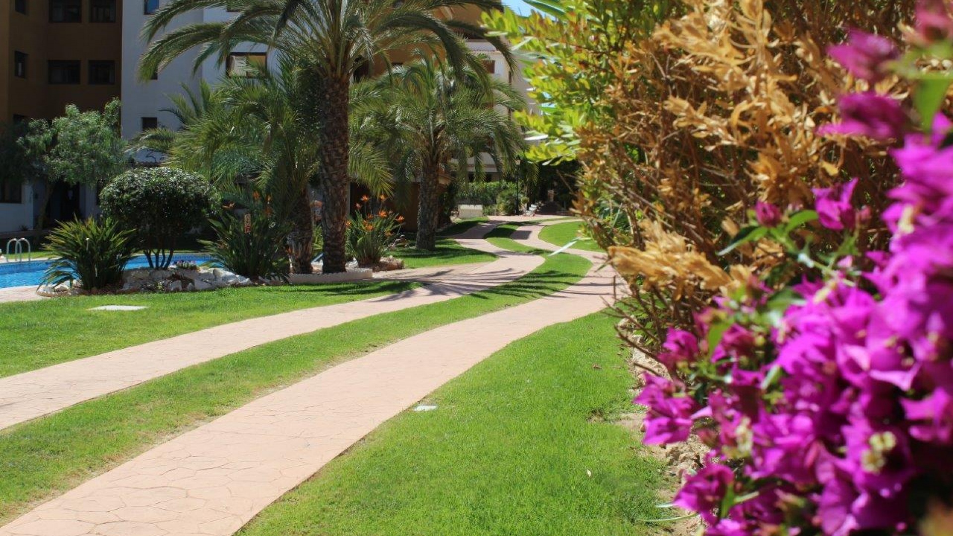 Resale - Apartment - Punta Prima - la entrada