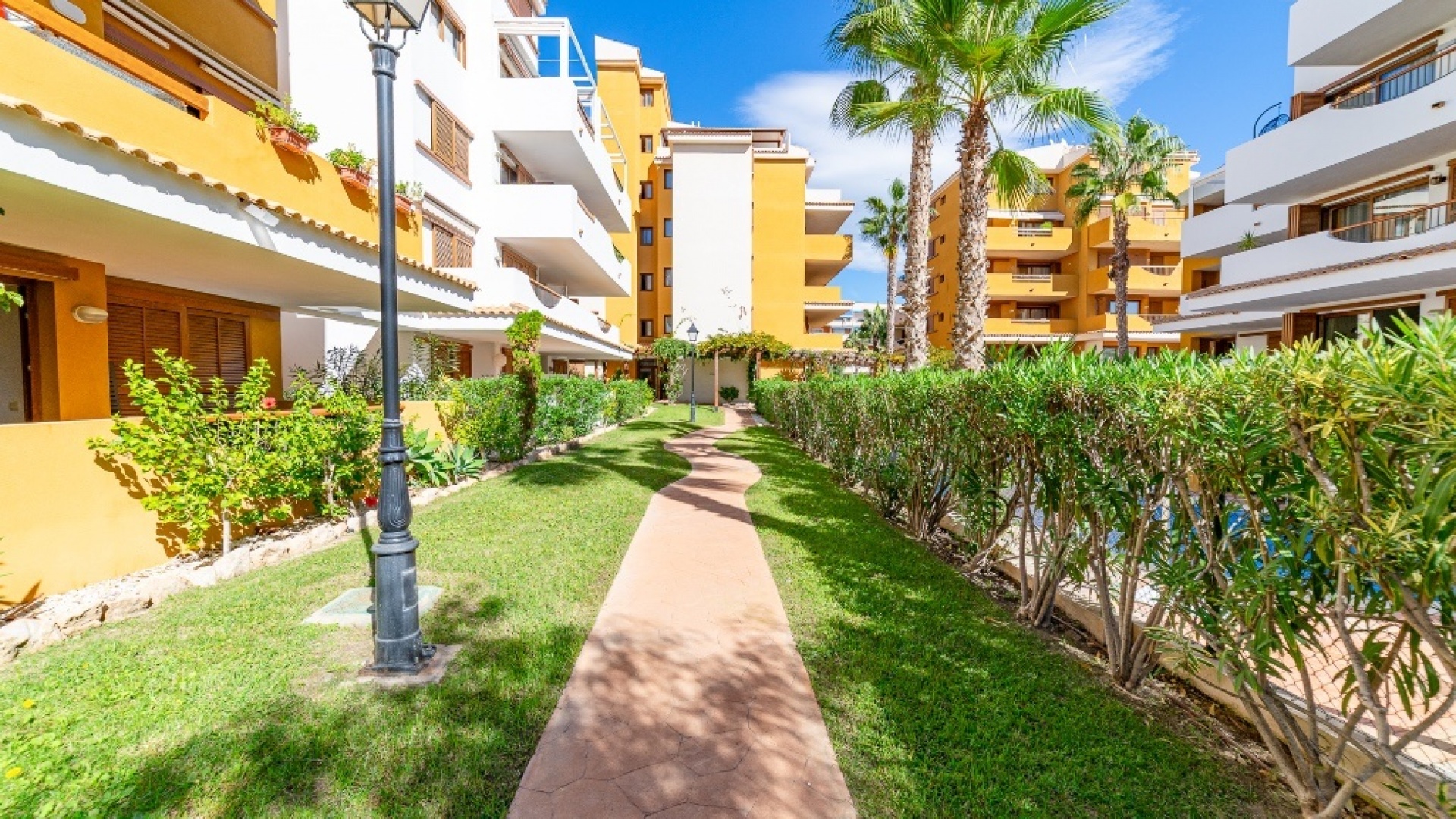 Resale - Apartment - Punta Prima - la entrada