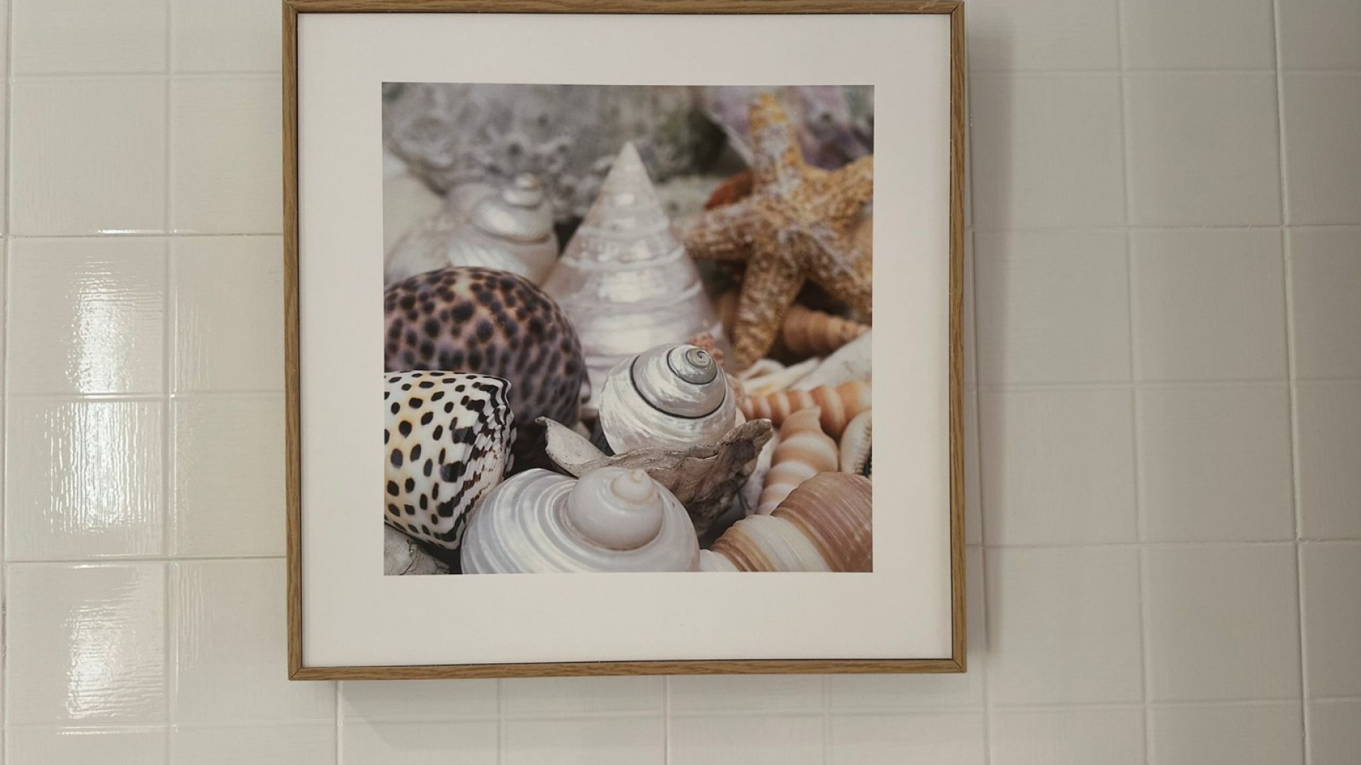 Resale - Apartment - Punta Prima - La Recoleta